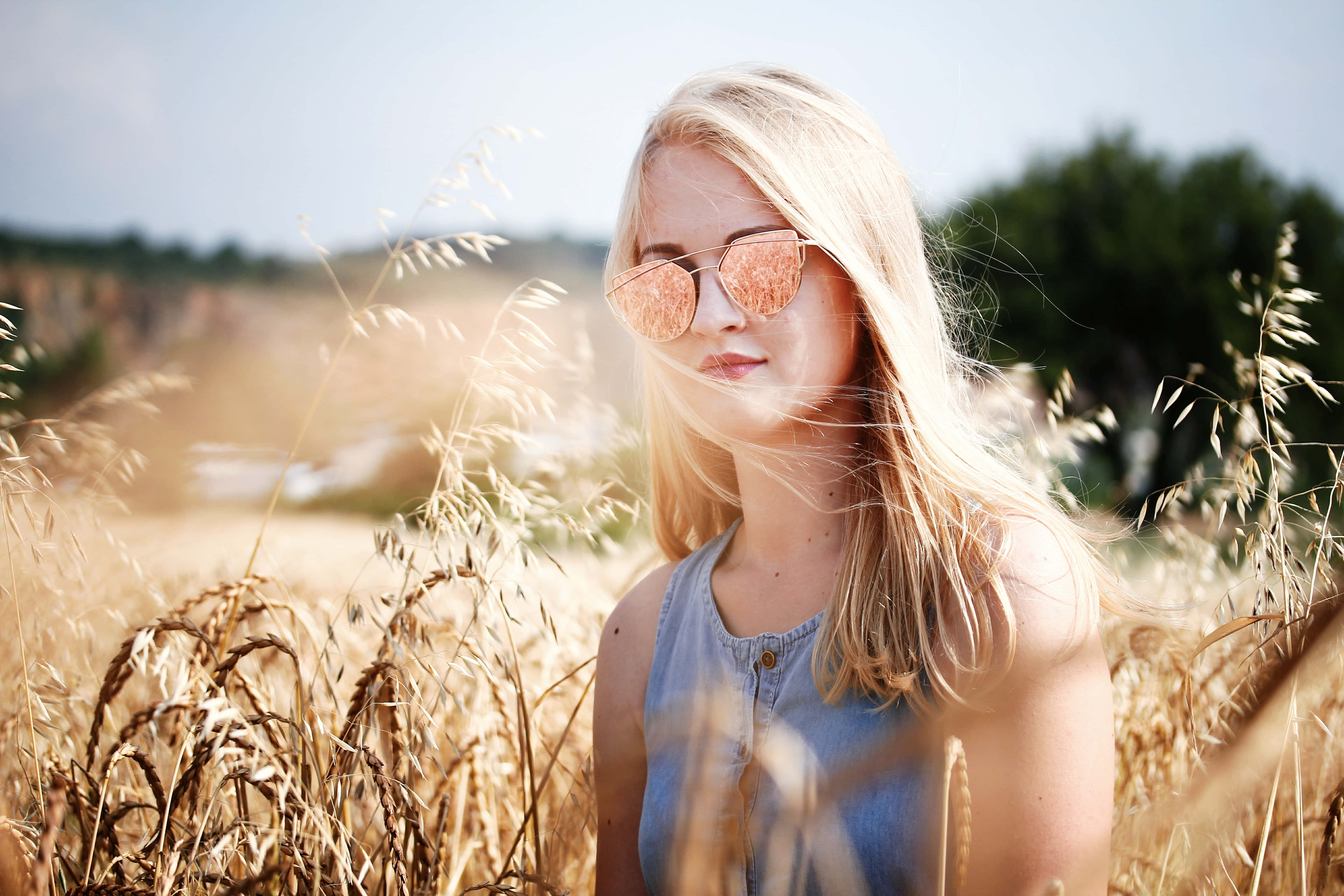 rose gold sunglasses, sunlit golden wheat field, wind-blown grass, 5K Desktop Wallpaper
