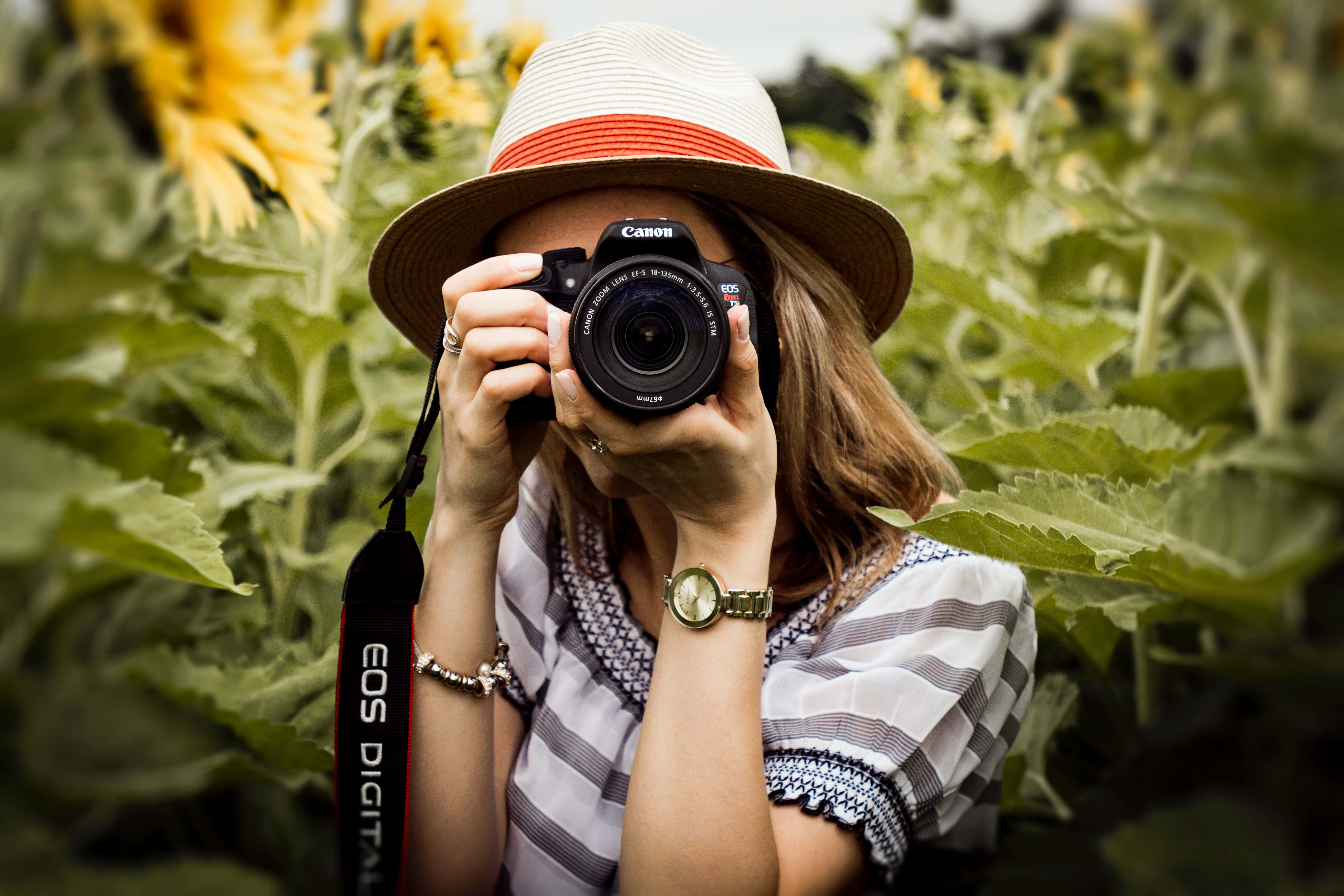 straw hat, camera, sunflowers, 5K Desktop Wallpaper