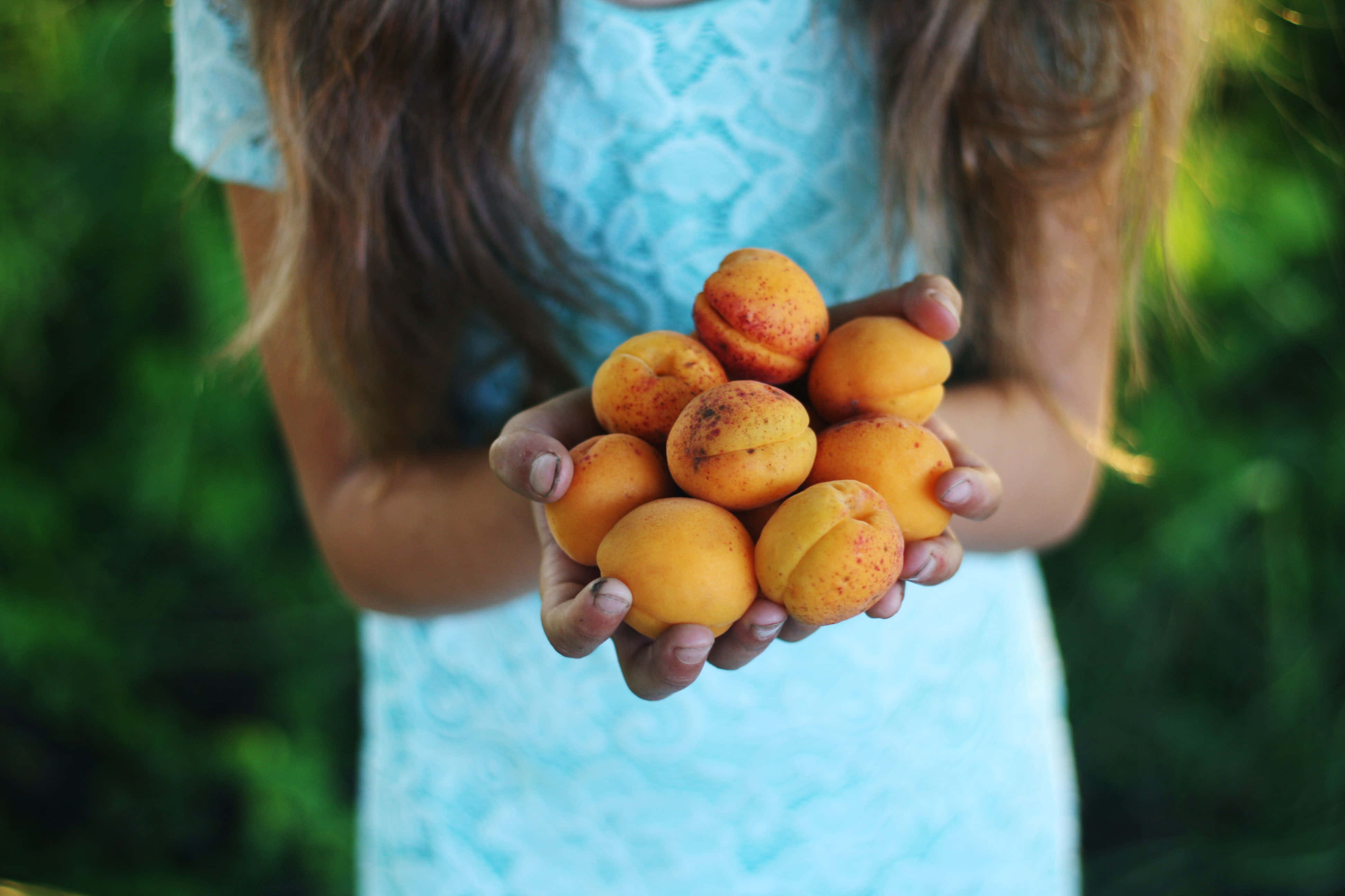 summer fruits, light blue dress, ripe apricots, 4K Desktop Wallpaper