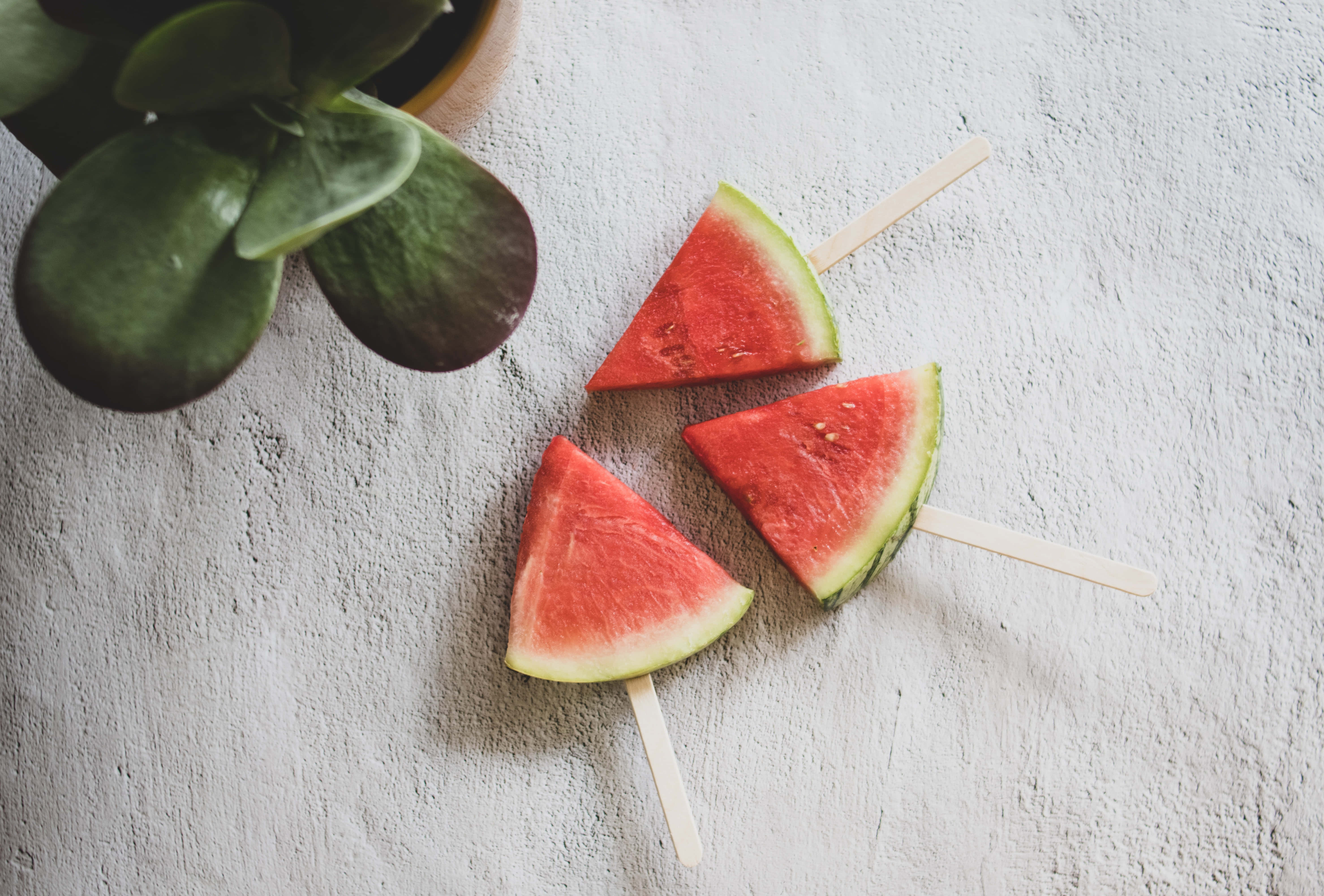 summer fruits, watermelon slices, succulent, 5K Desktop Wallpaper
