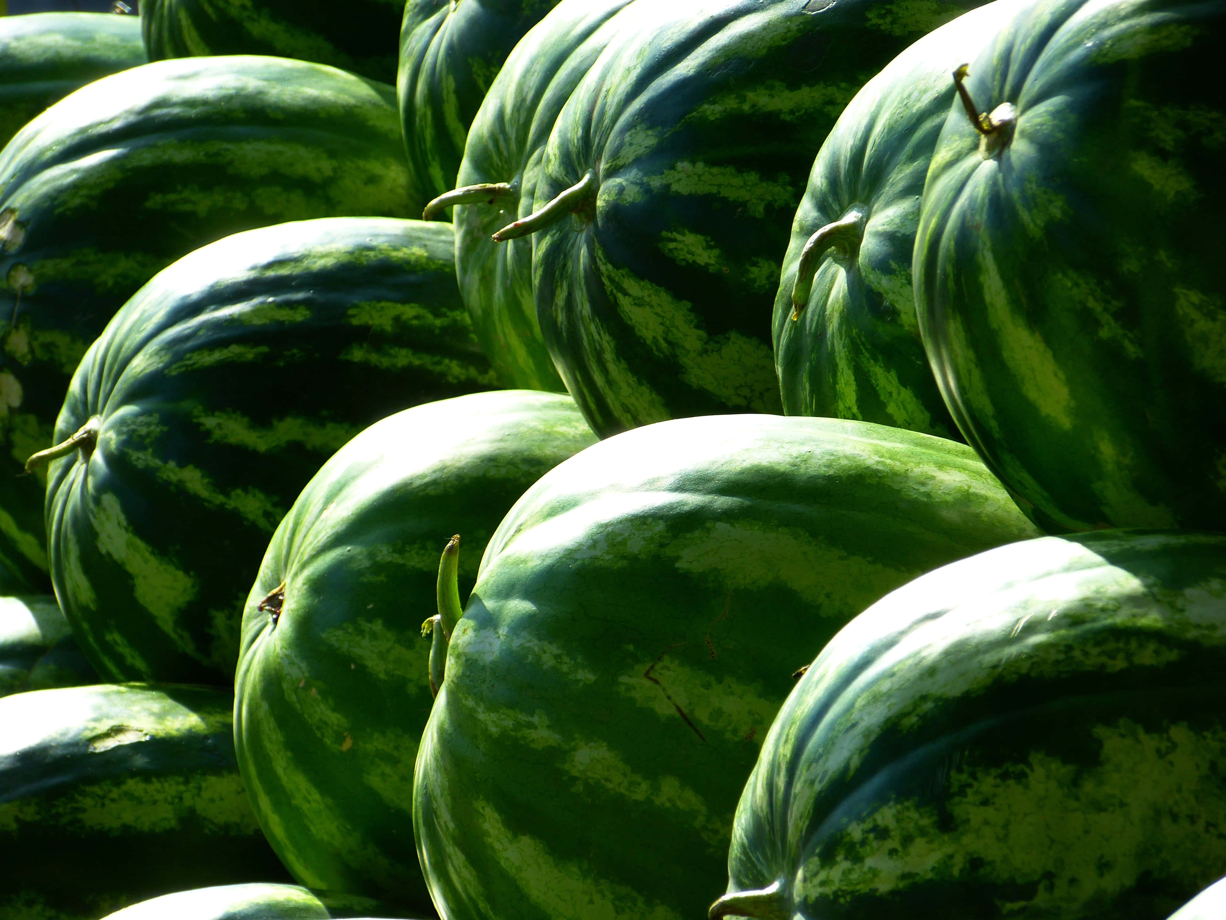 summer fruits, watermelons, deep green stripes, 4K Desktop Wallpaper