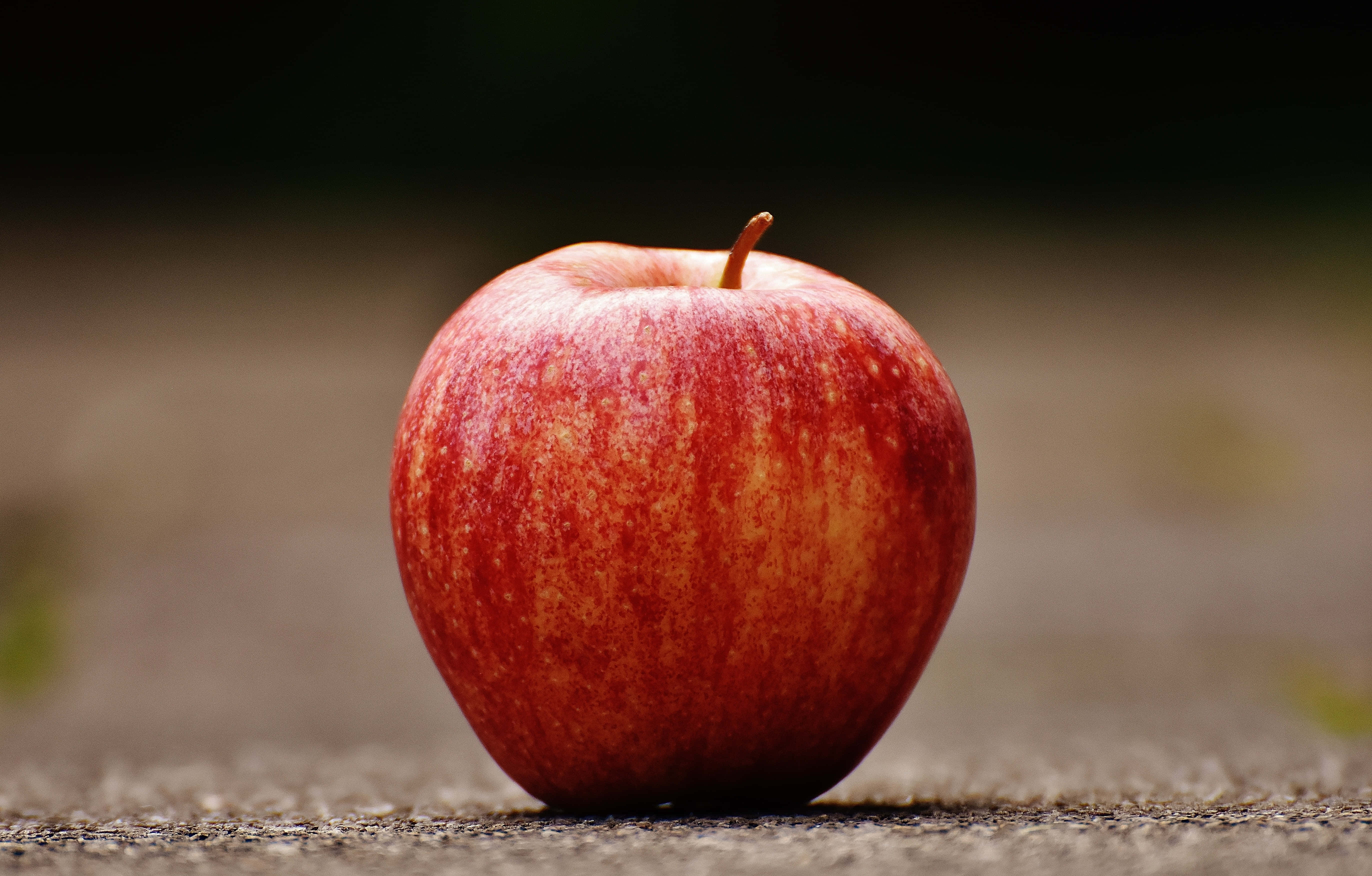 Summer Fruits, ripe red apple, brown stem, 5K Desktop Wallpaper