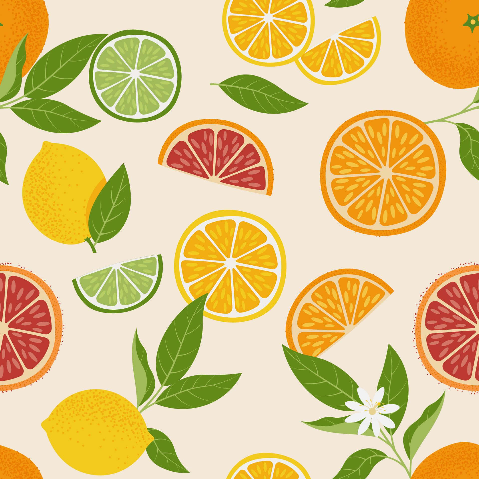 colorful citrus fruits pattern, vibrant illustrated citrus fruits, leaves, Full HD Desktop Wallpaper