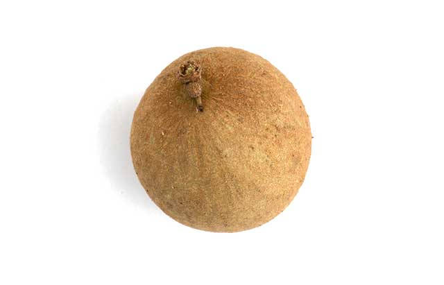 longan fruit, brown textured, stark white background, SD Desktop Wallpaper