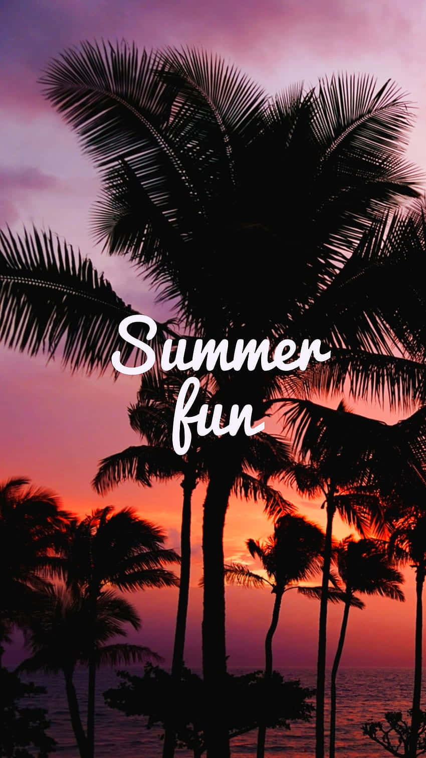 Summer Fun, tropical, palm trees, HD Phone Wallpaper