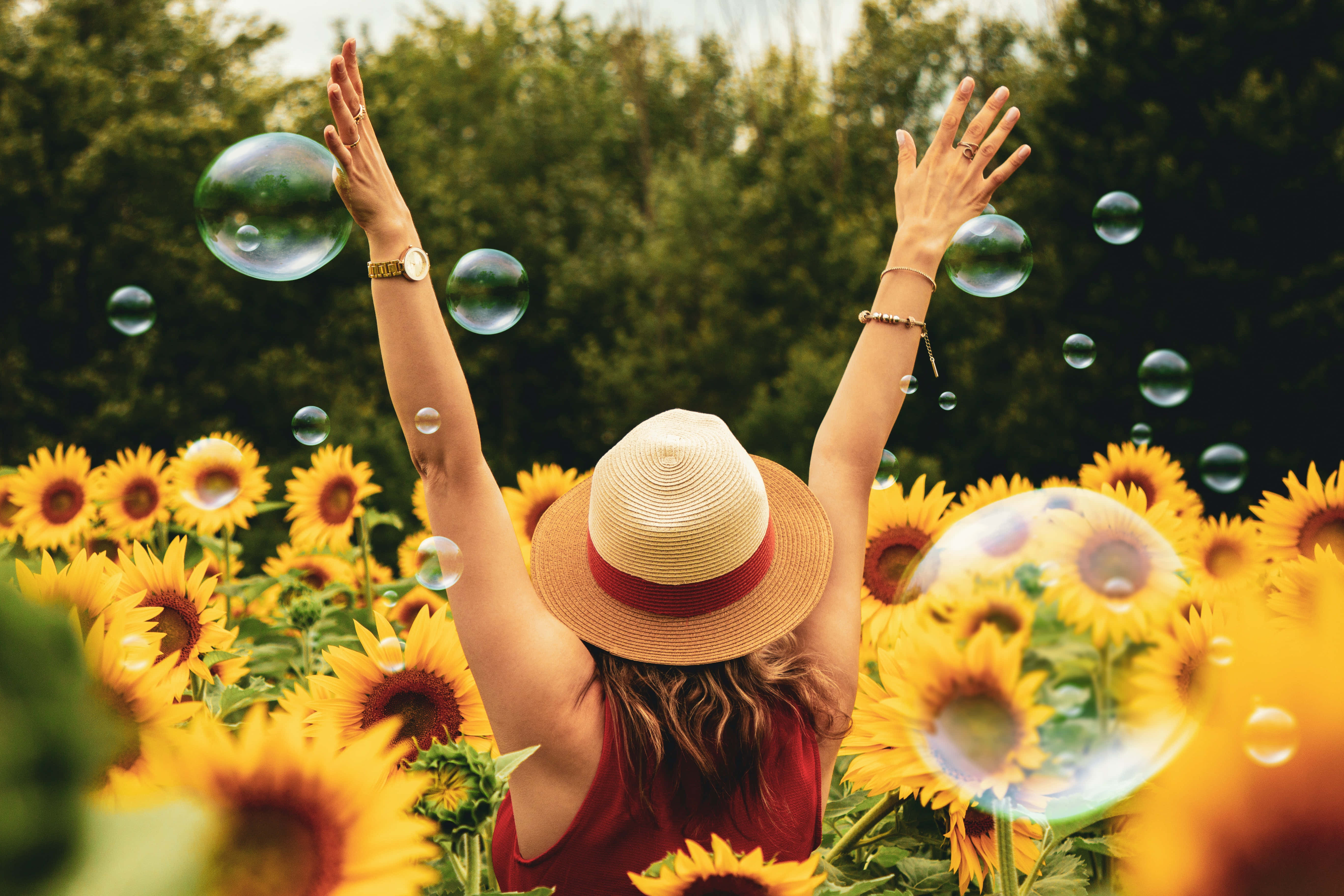 sunflower field, straw hat, soap bubbles, 5K Desktop Wallpaper