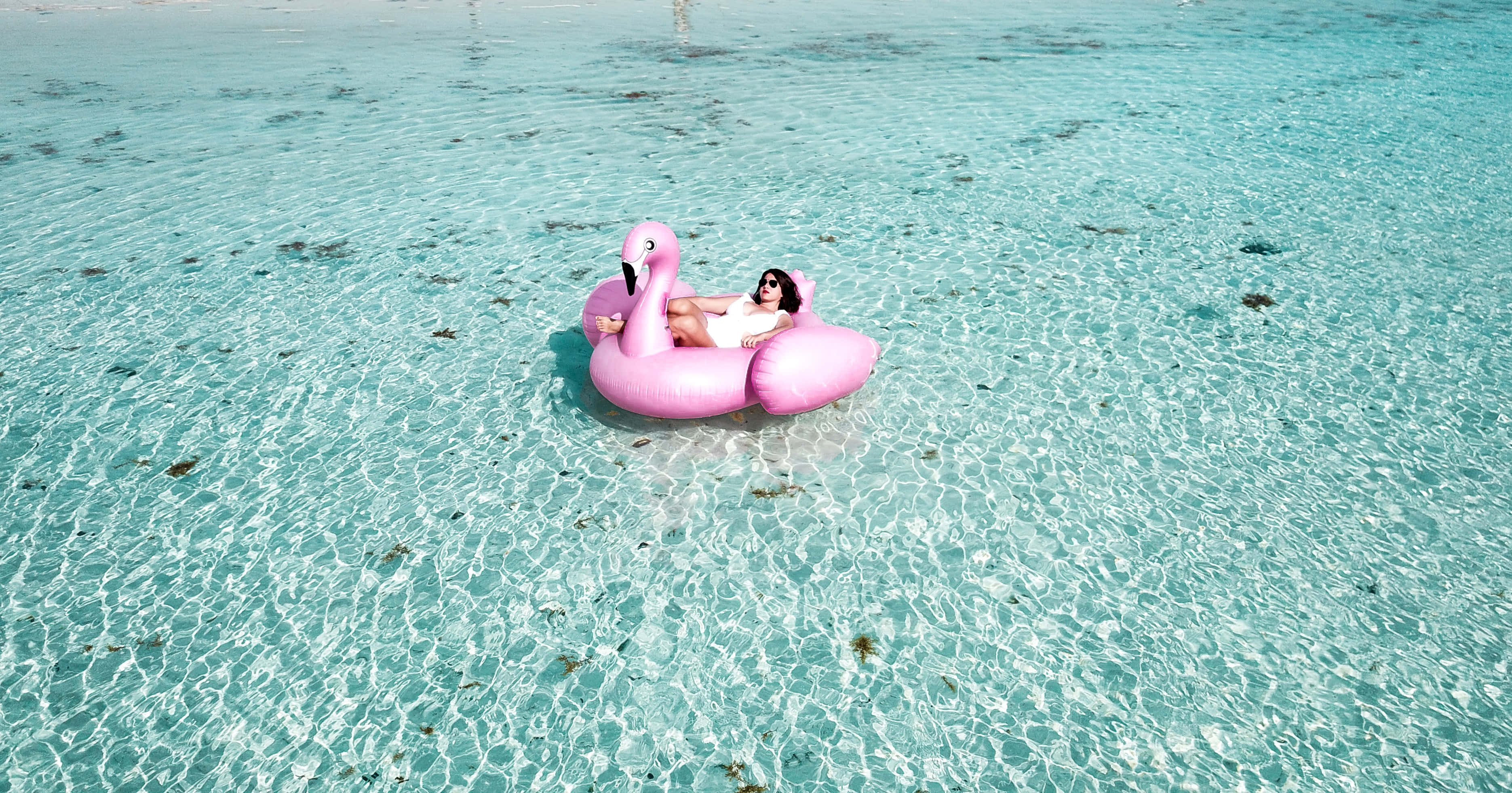 flamingo floatie, pink flamingo float, crystal clear turquoise water, 2K Desktop Wallpaper