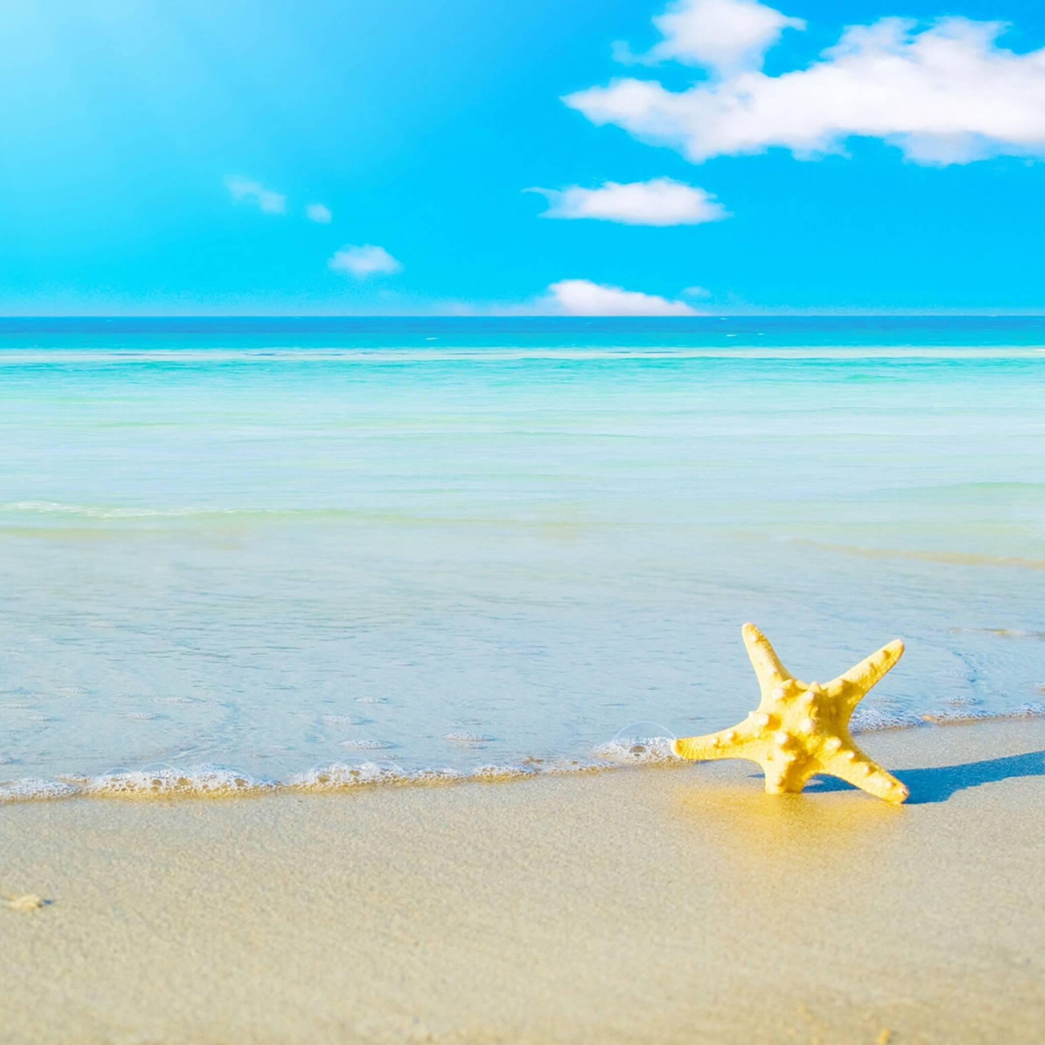 summer ipad, bright yellow starfish, golden sand, Full HD Desktop Wallpaper