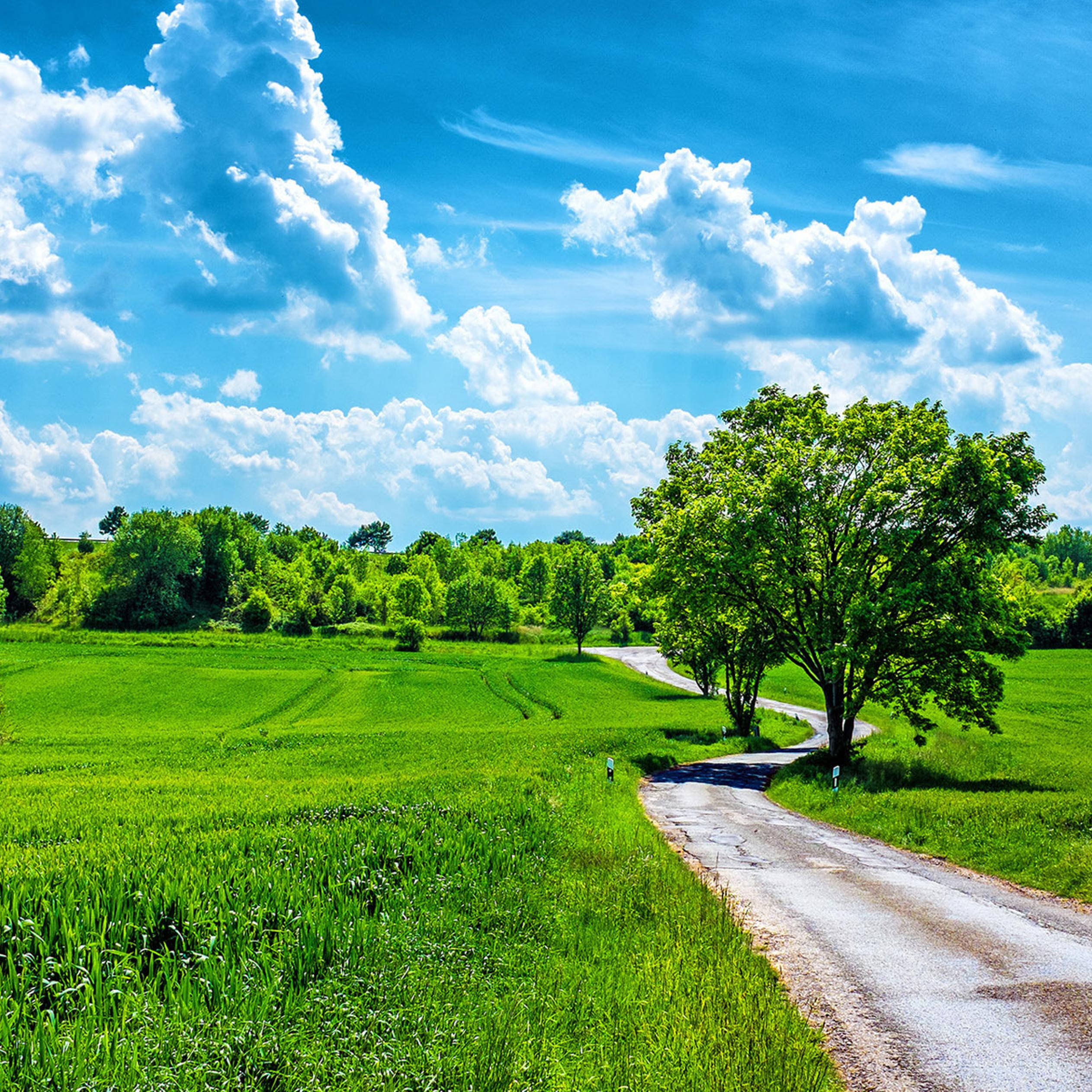 Summer iPad, gravel road, vibrant green fields, Full HD Desktop Wallpaper