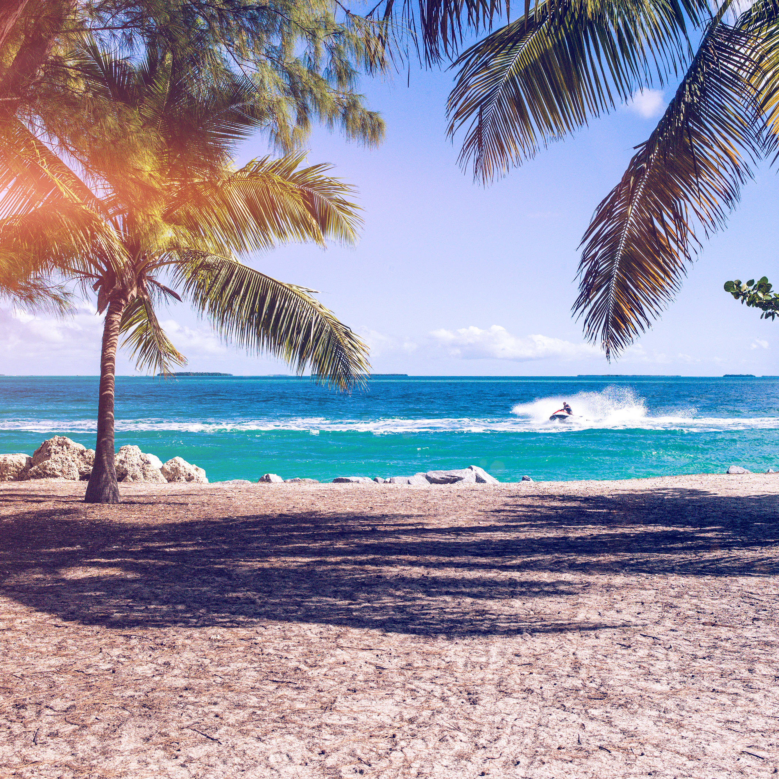 iPad, turquoise waves, palm trees, 2K Desktop Wallpaper