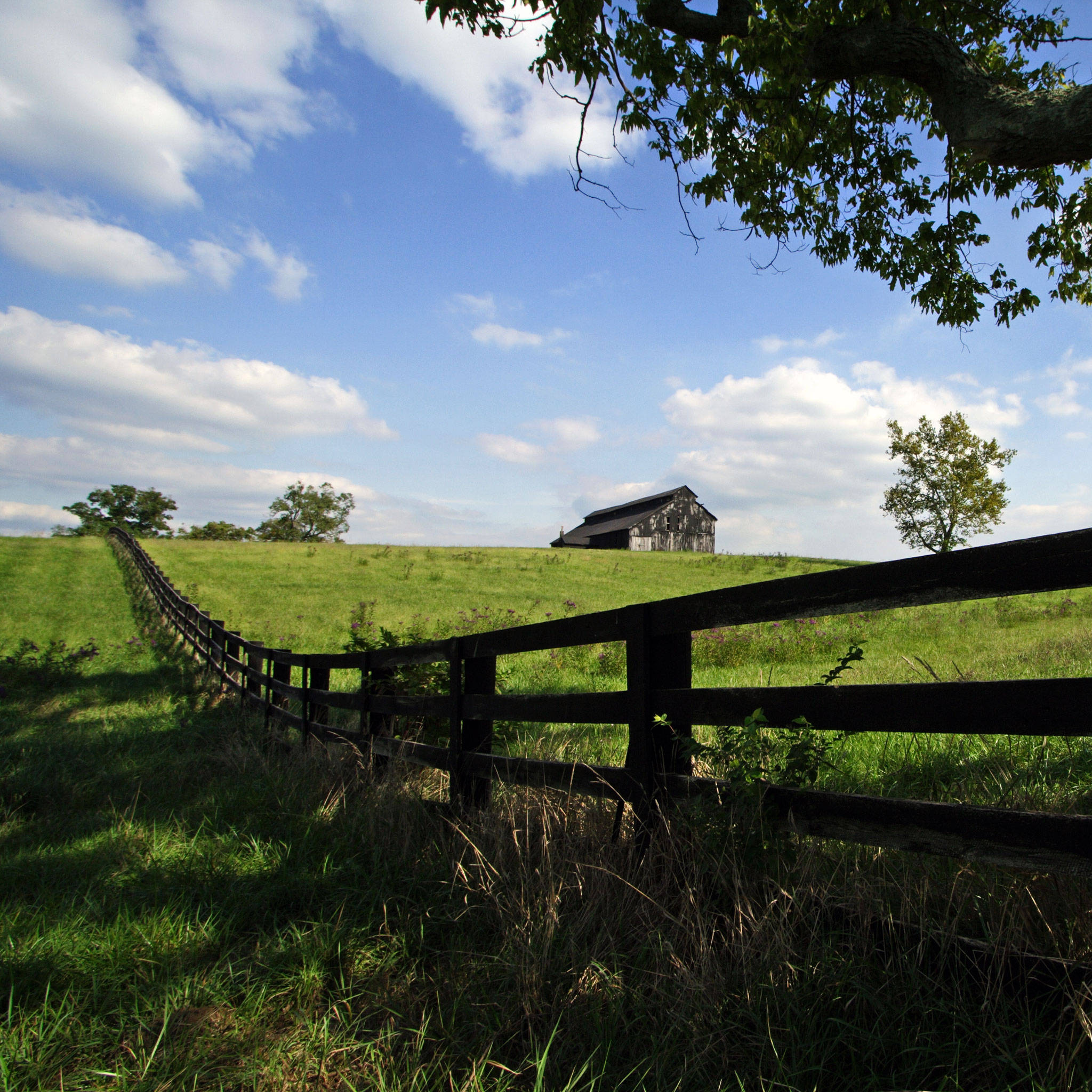 iPad, summer, sunlit green hill, Full HD Desktop Wallpaper