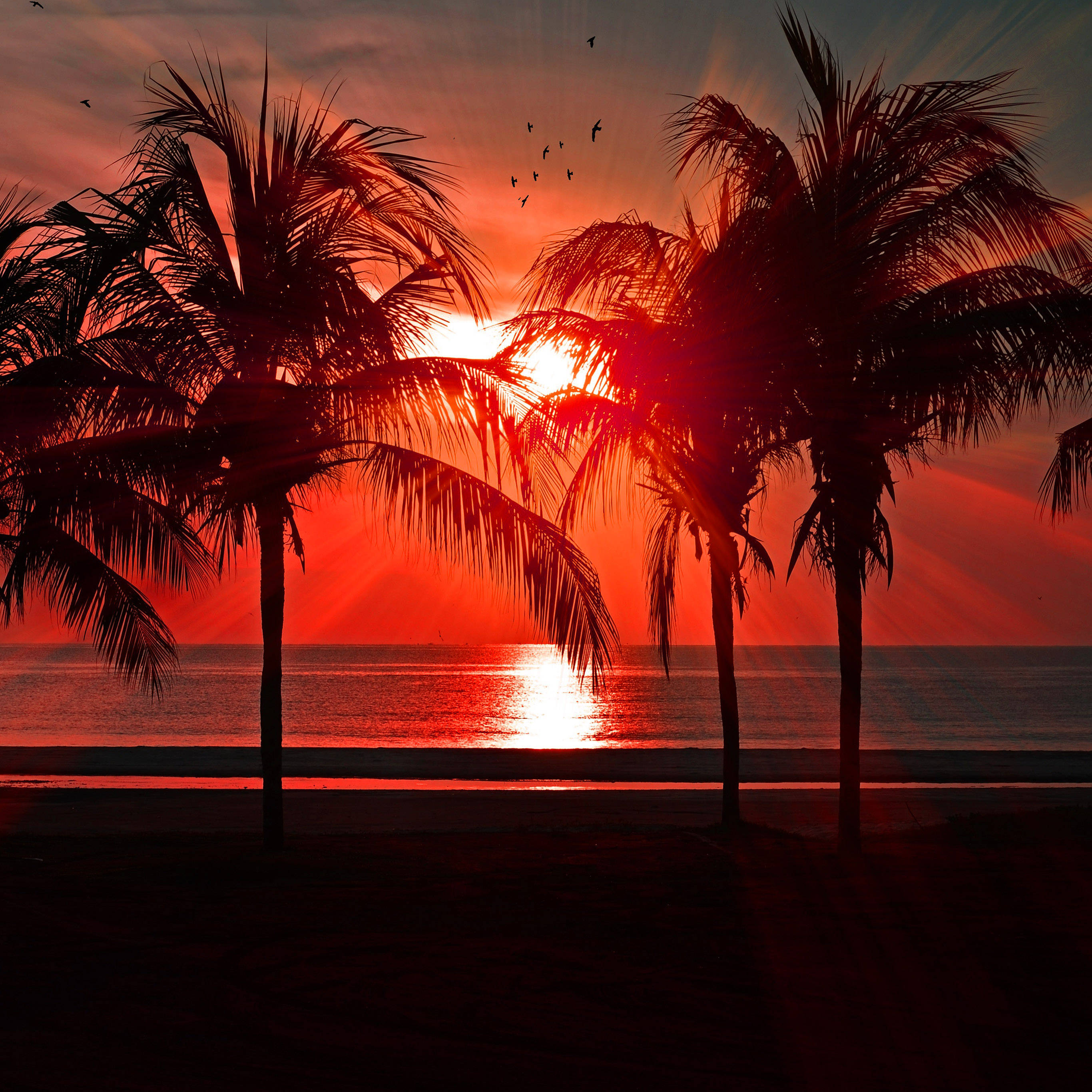 Summer iPad, fiery red sunset, ocean, 2K Desktop Wallpaper