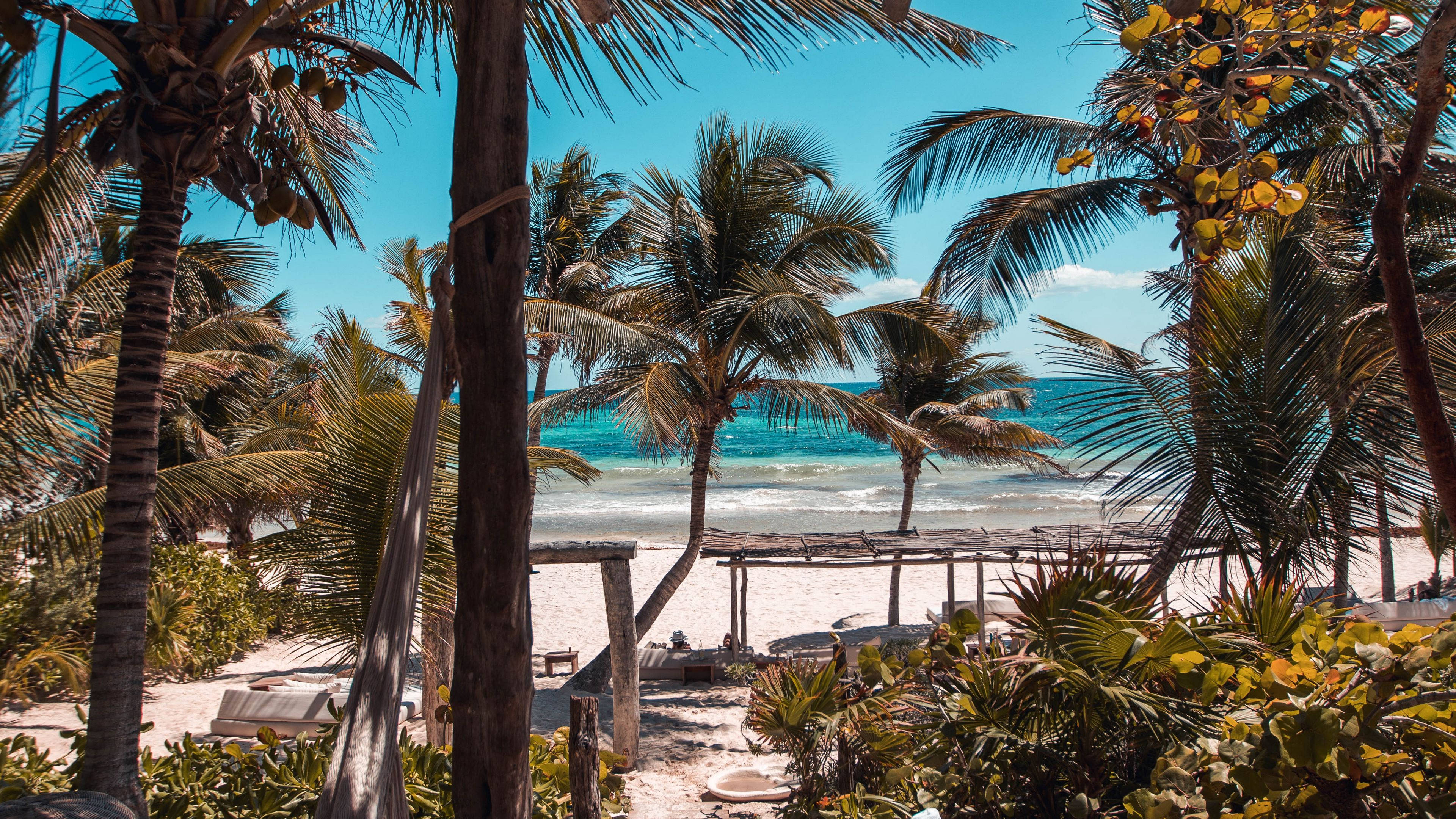 Sun-Kissed Summer iPad Display, tropical beach, palm trees, 4K Desktop Wallpaper