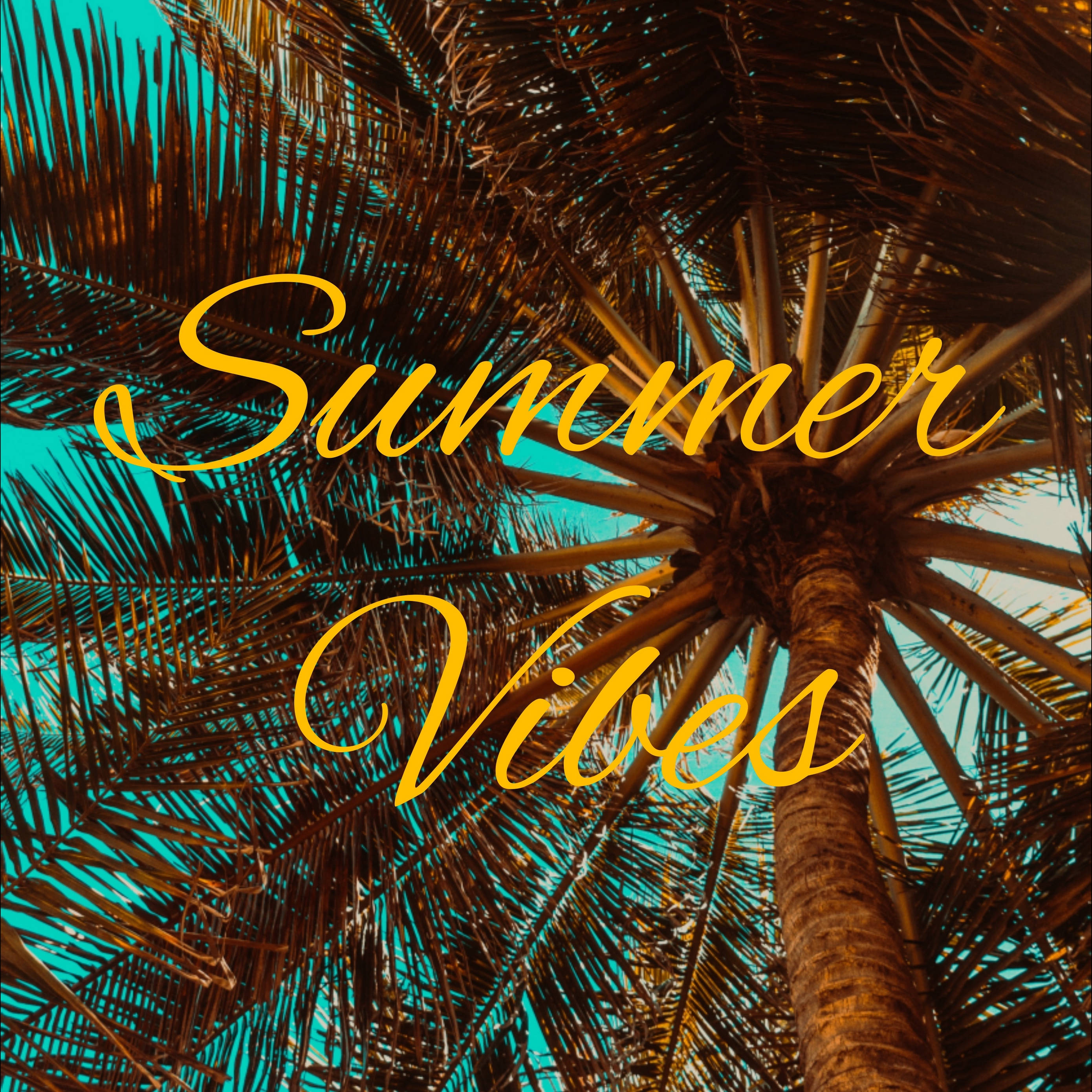 Summer iPad, turquoise sky, palm tree fronds, 2K Desktop Wallpaper