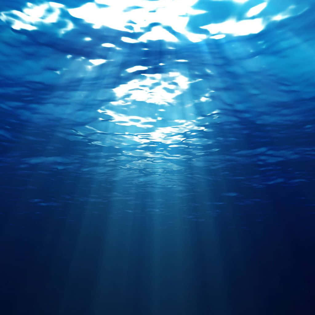 Water iPad, sunlight, rippling ocean surface, SD Desktop Wallpaper