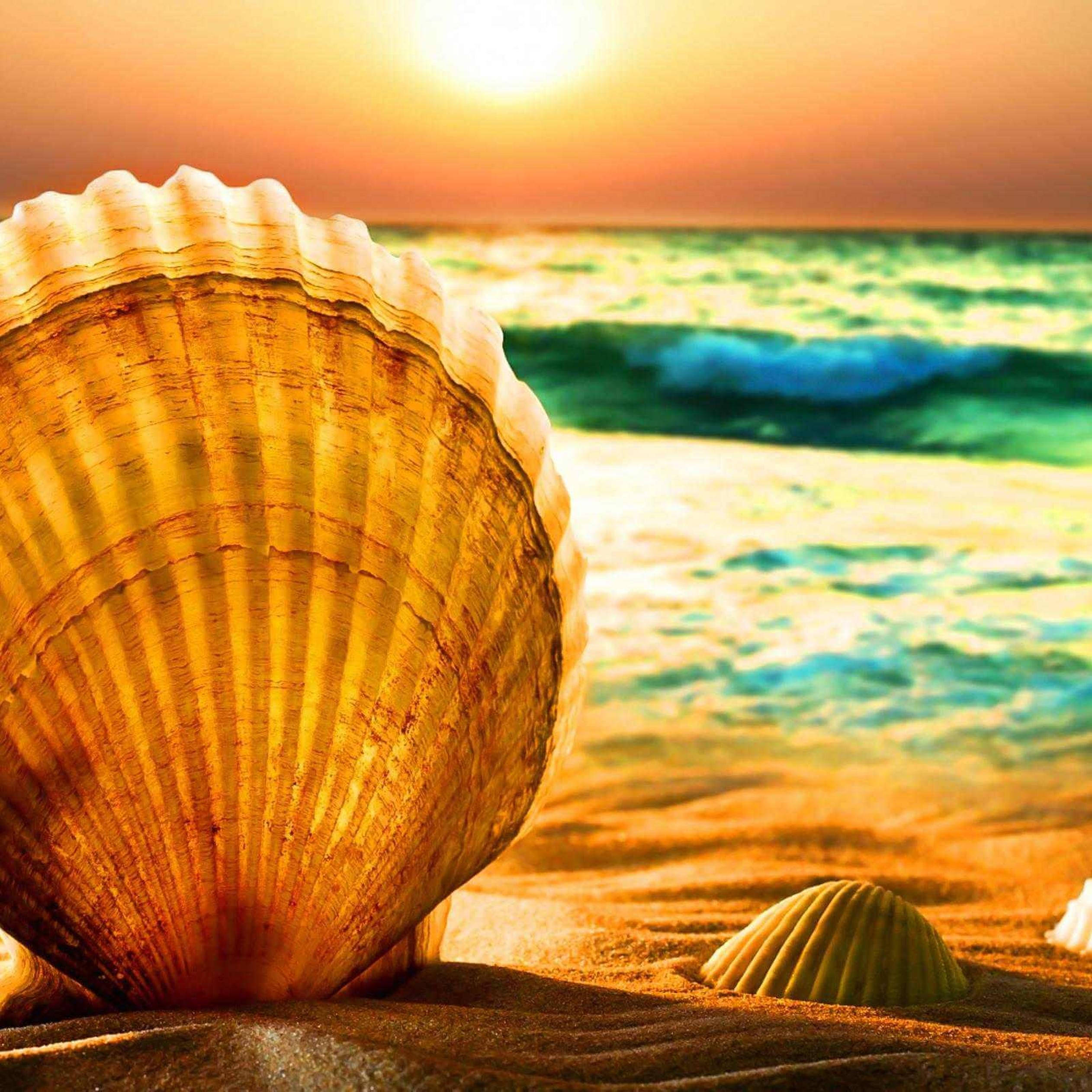 iPad, Summer iPad, golden seashell, Full HD Desktop Wallpaper