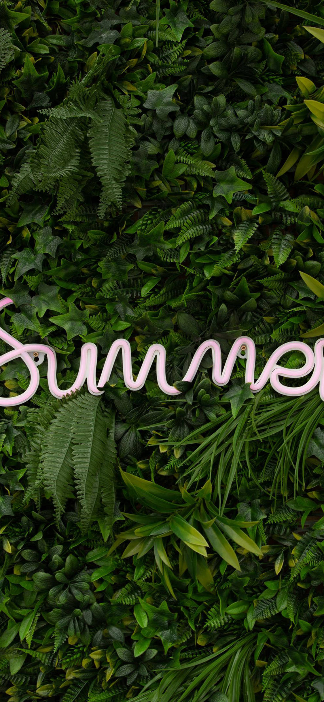 LED Summer iPhone Green, vibrant pink neon sign, lush green living wall, Full HD Phone Wallpaper