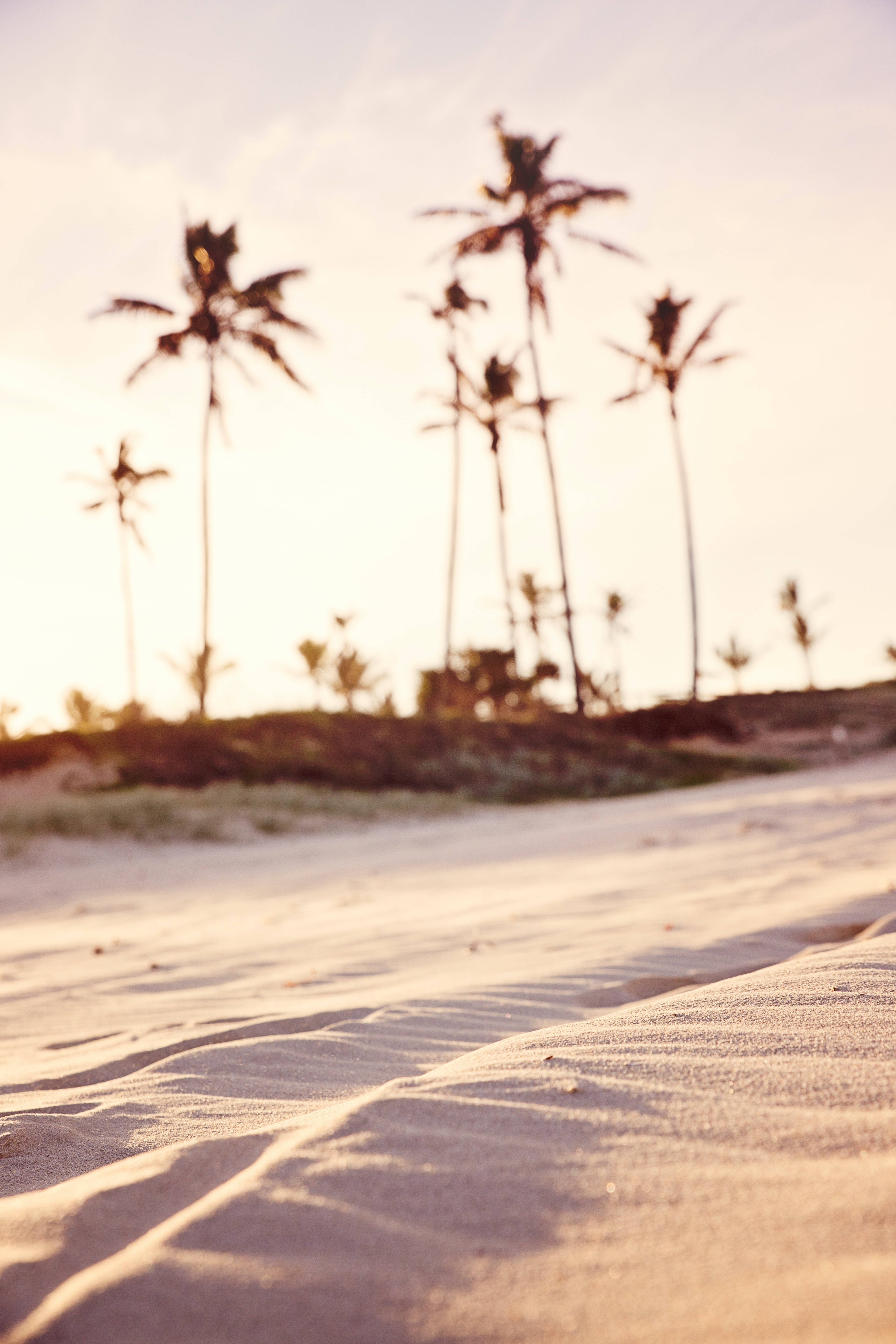 beach sand, summer iPhone, sunlit sand dunes, 5K Phone Wallpaper