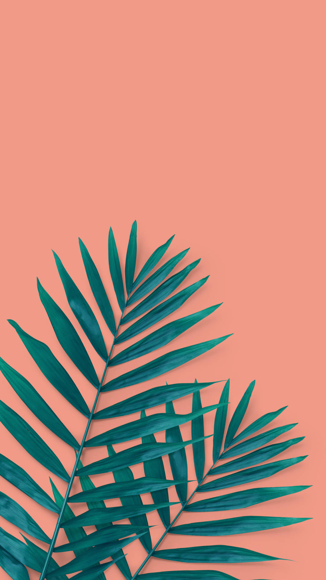 tropical palm leaves, teal, coral, Full HD Phone Wallpaper