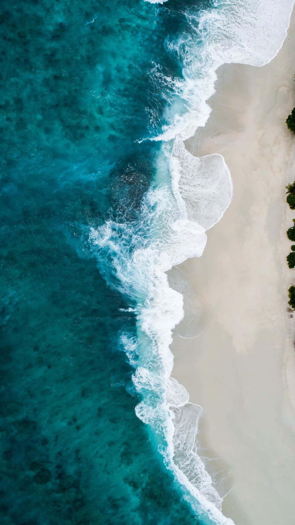 turquoise waves, pristine white sandy beach, lush greenery, HD Phone Wallpaper