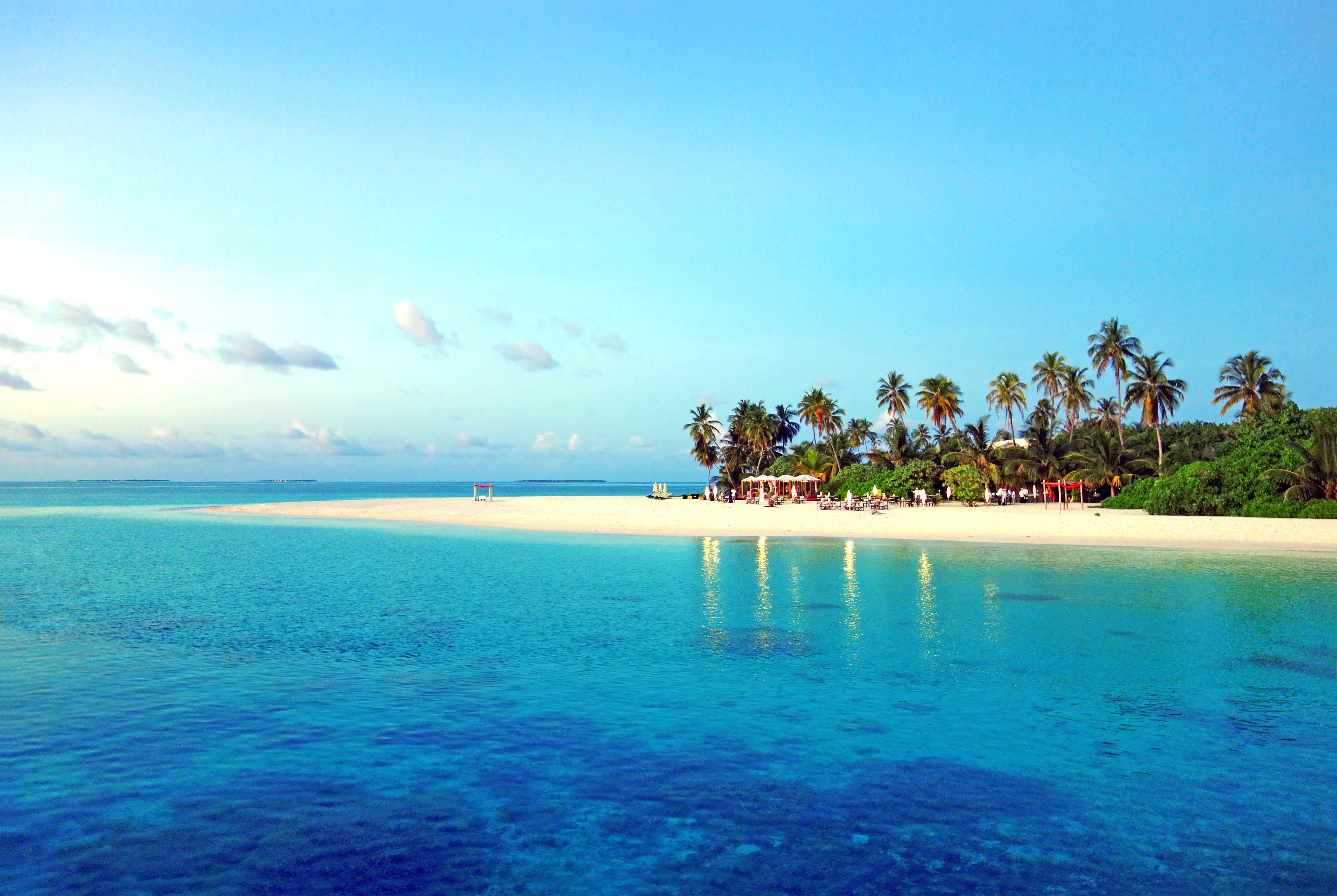tropical beach, turquoise waters, palm trees, 4K Desktop Wallpaper