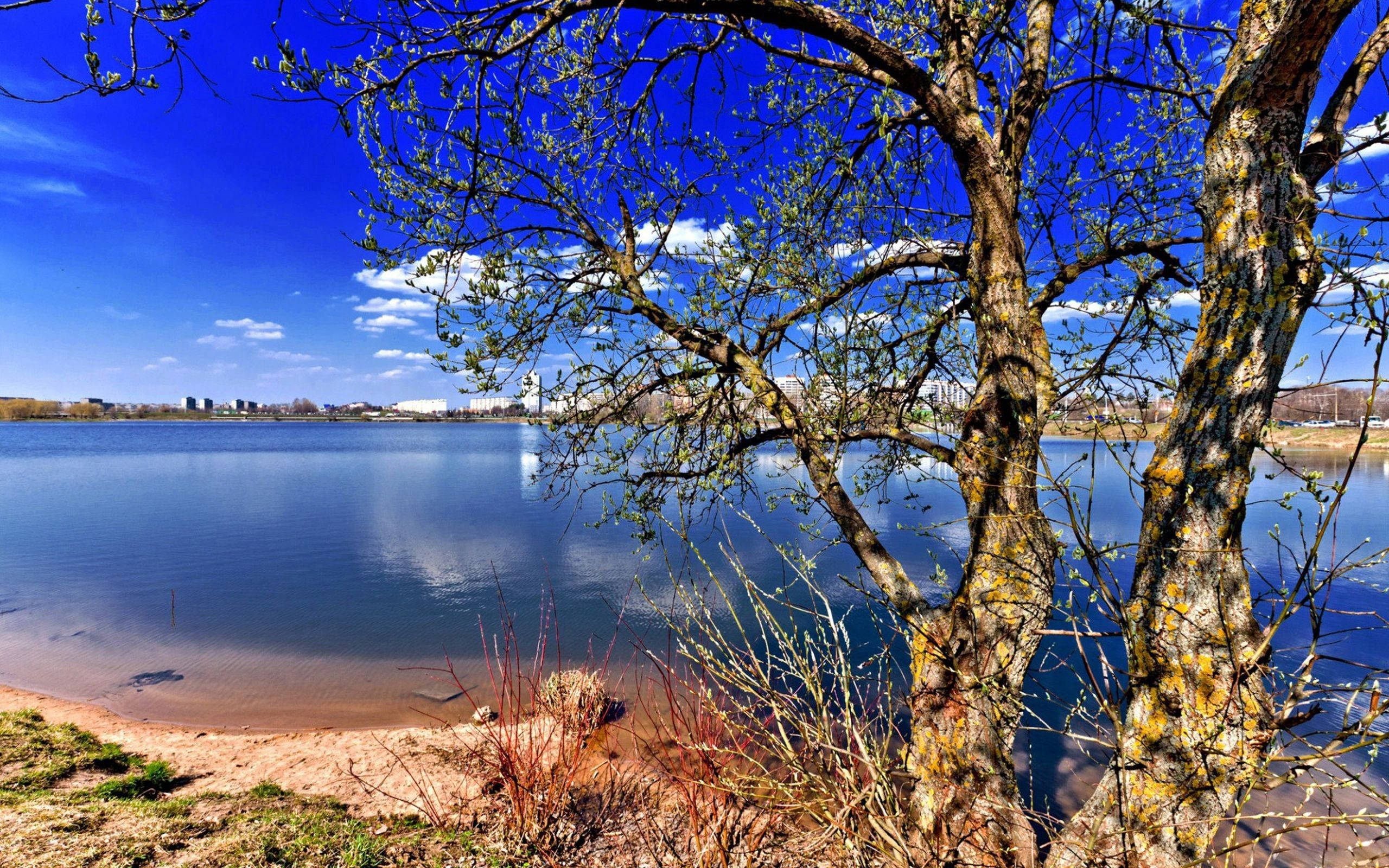 vibrant blue sky, scattered clouds, calm lake, 2K Desktop Wallpaper