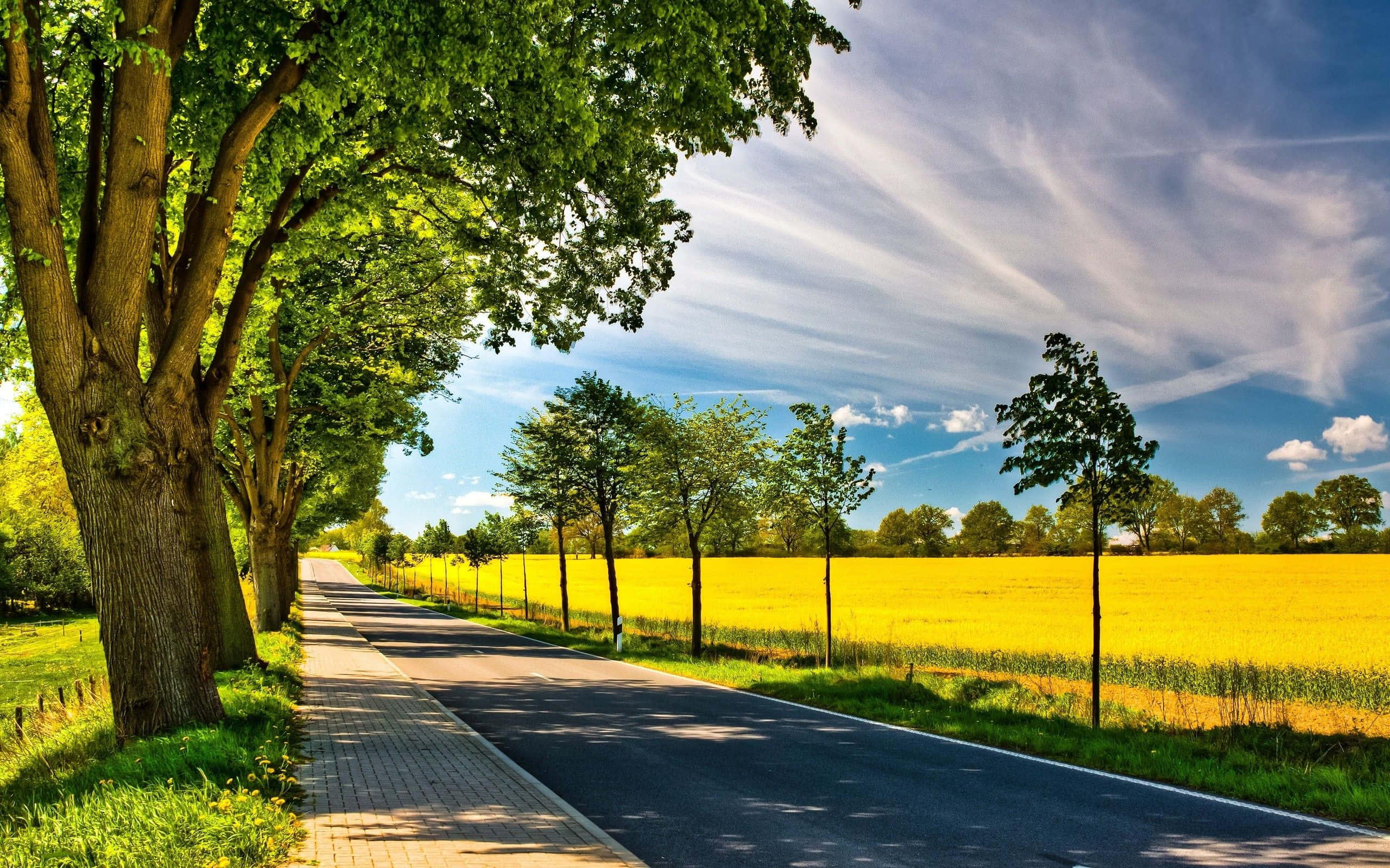 sunny summer landscape, winding road, vibrant yellow field, 2K Desktop Wallpaper