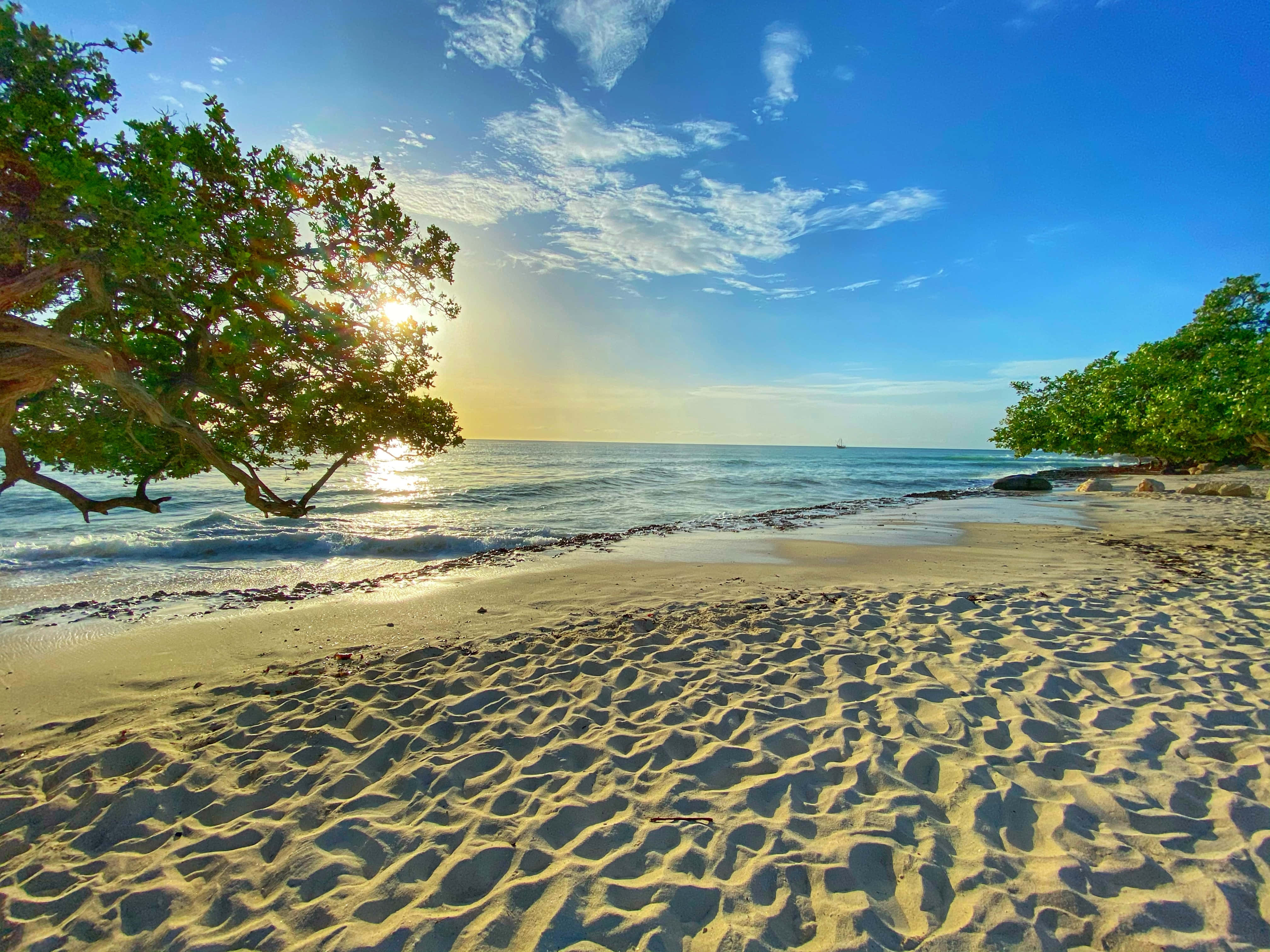 Summer Landscape, Sunset, lush trees, 4K Desktop Wallpaper