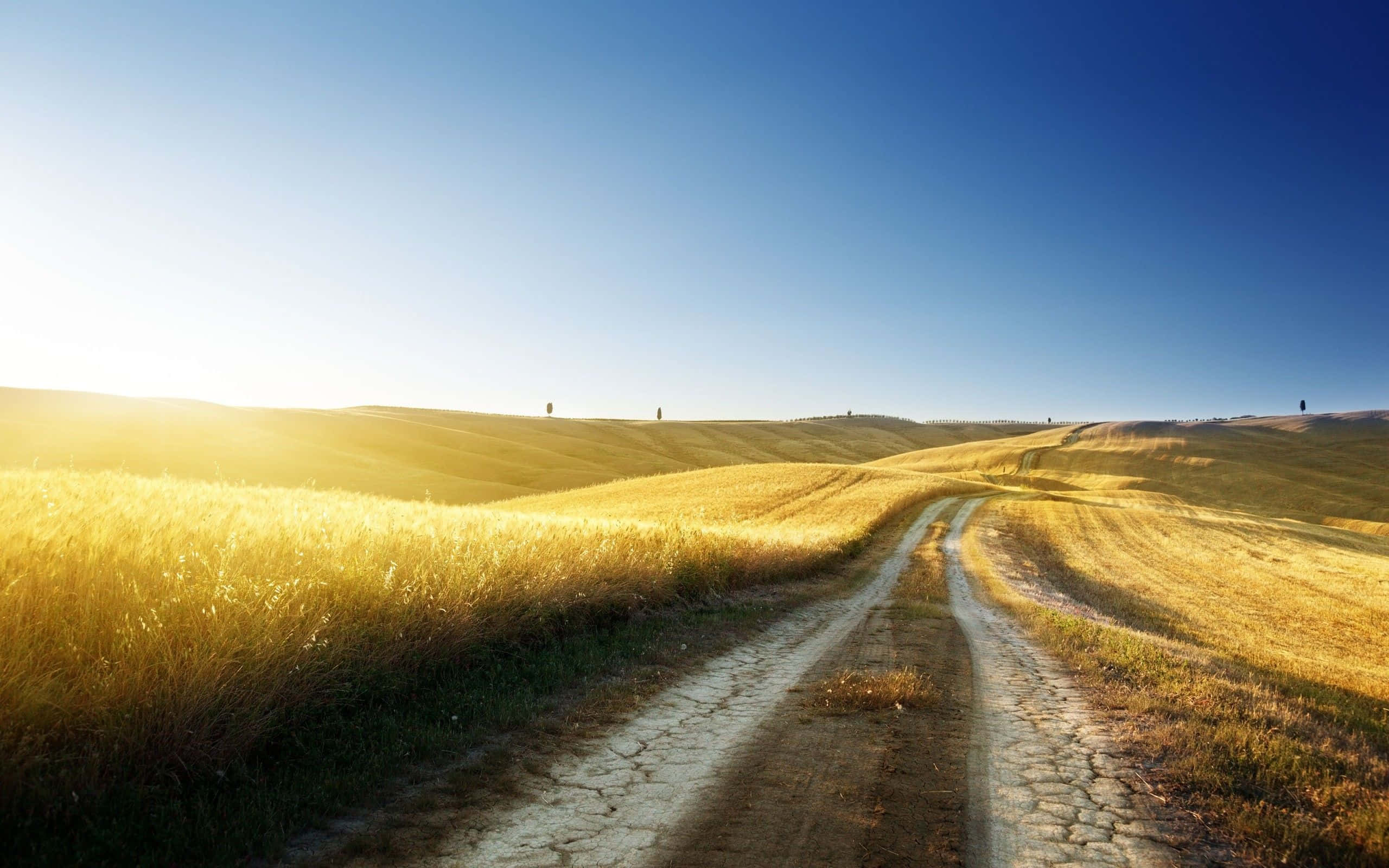 summer landscape, winding dirt road, golden wheat fields, 2K Desktop Wallpaper