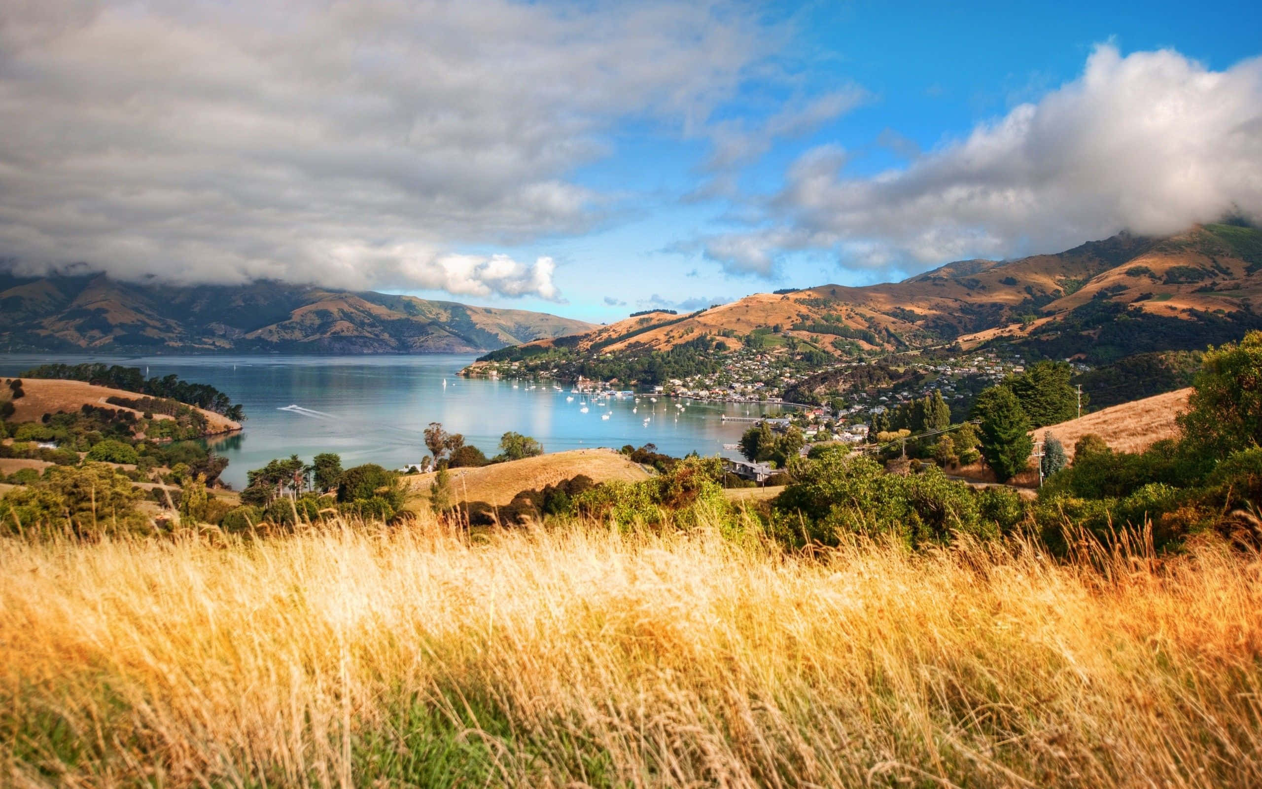 summer landscape, golden grasses, serene bay, 2K Desktop Wallpaper
