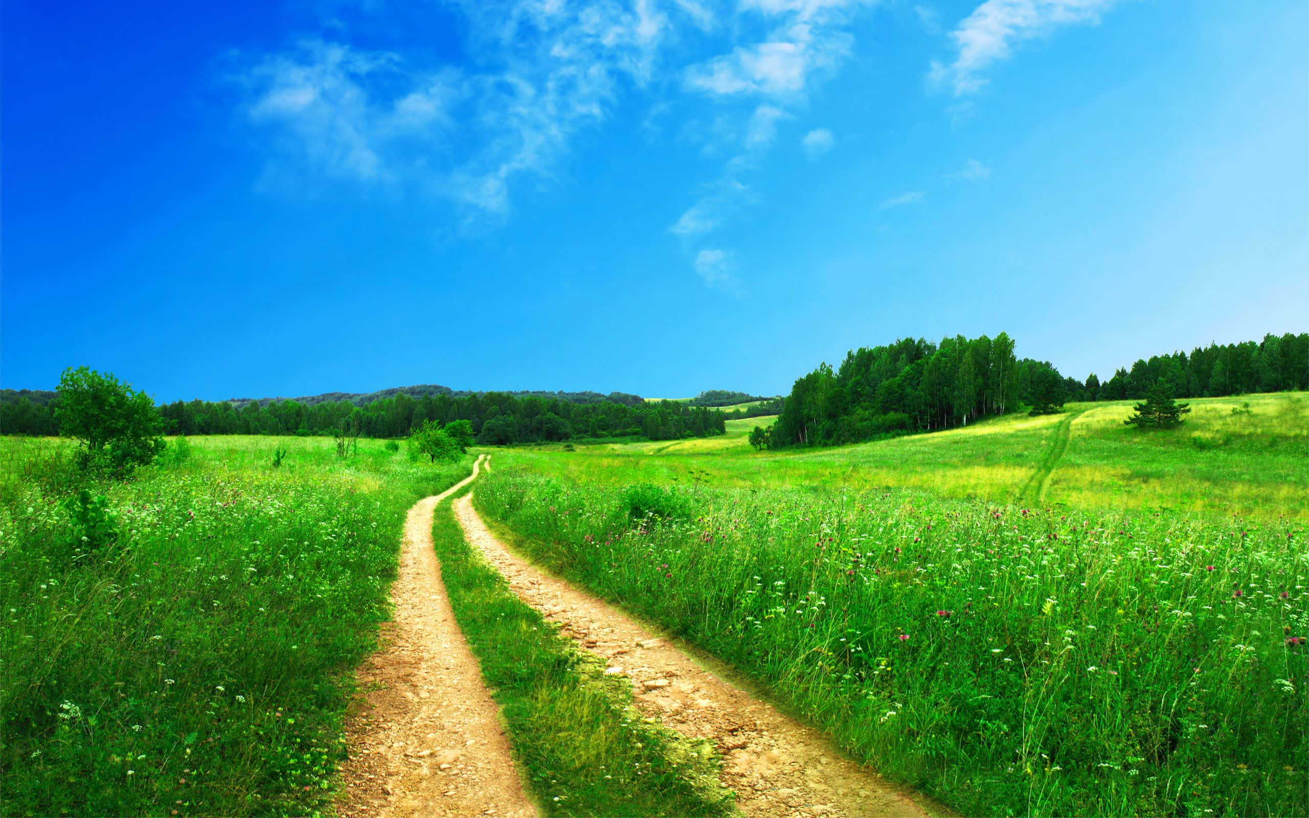summer landscape, winding dirt path, vibrant green meadows, 2K Desktop Wallpaper