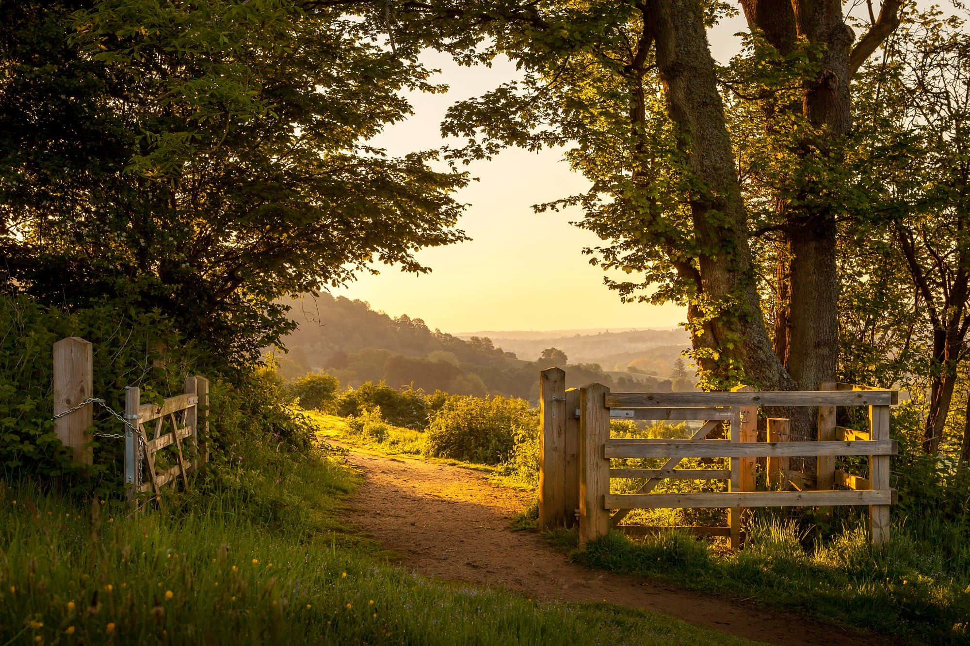 summer landscape, wooden gate, dirt path, Full HD Desktop Wallpaper