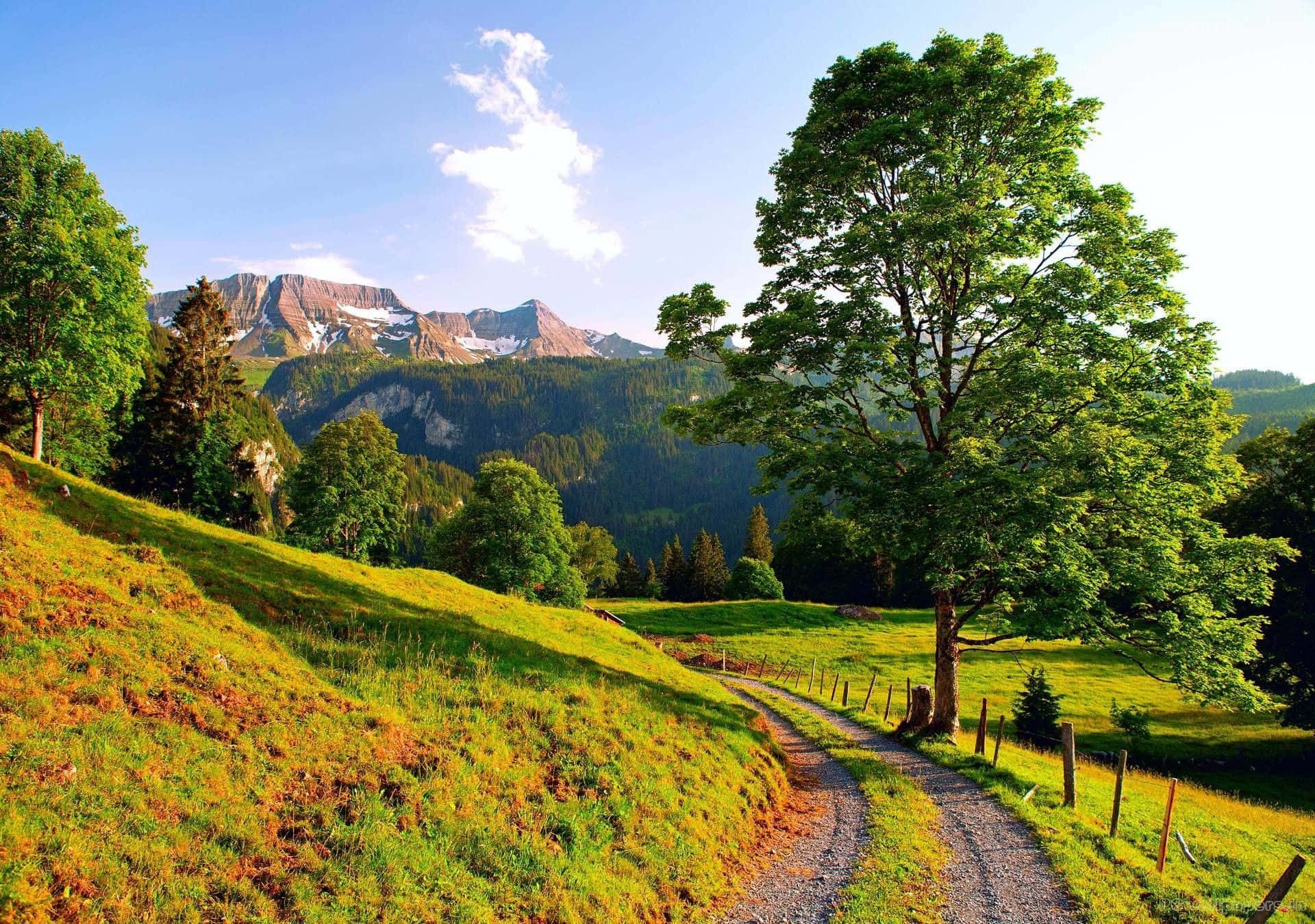 summer landscape, gravel path, sunlit green meadows, Full HD Desktop Wallpaper