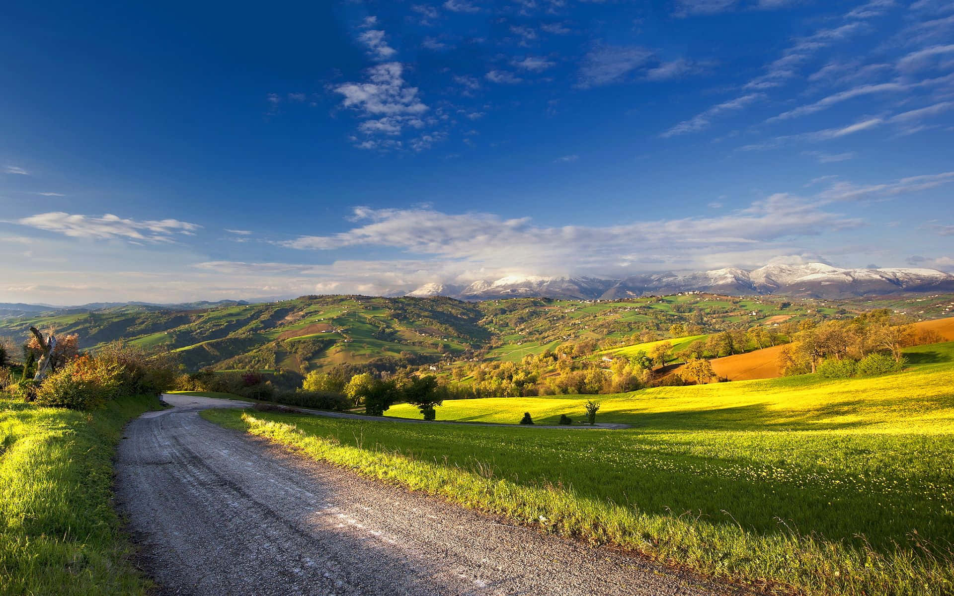 summer landscape, vibrant green fields, gravel road, Full HD Desktop Wallpaper