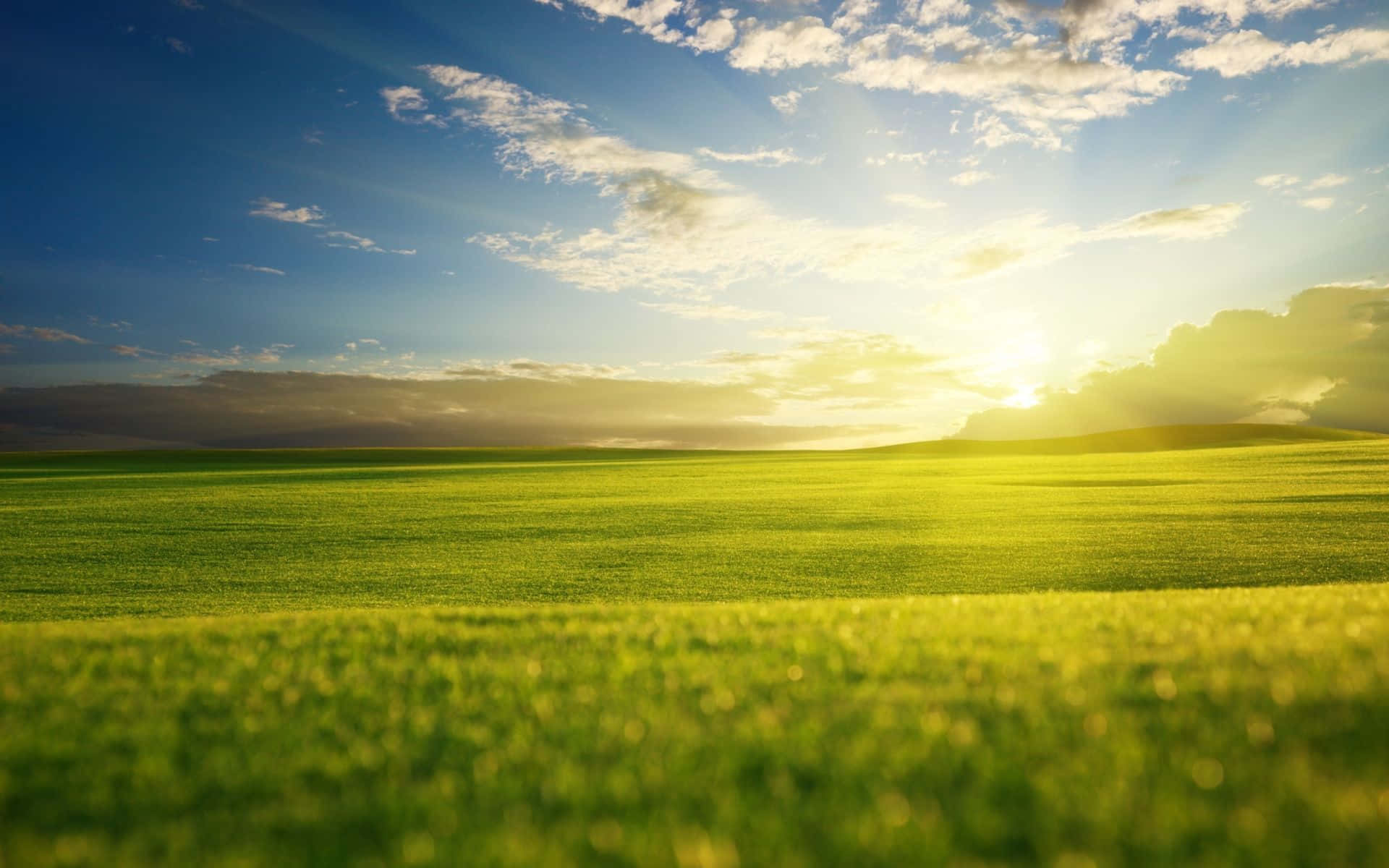 Summer Landscape, vast green field, blue sky, Full HD Desktop Wallpaper