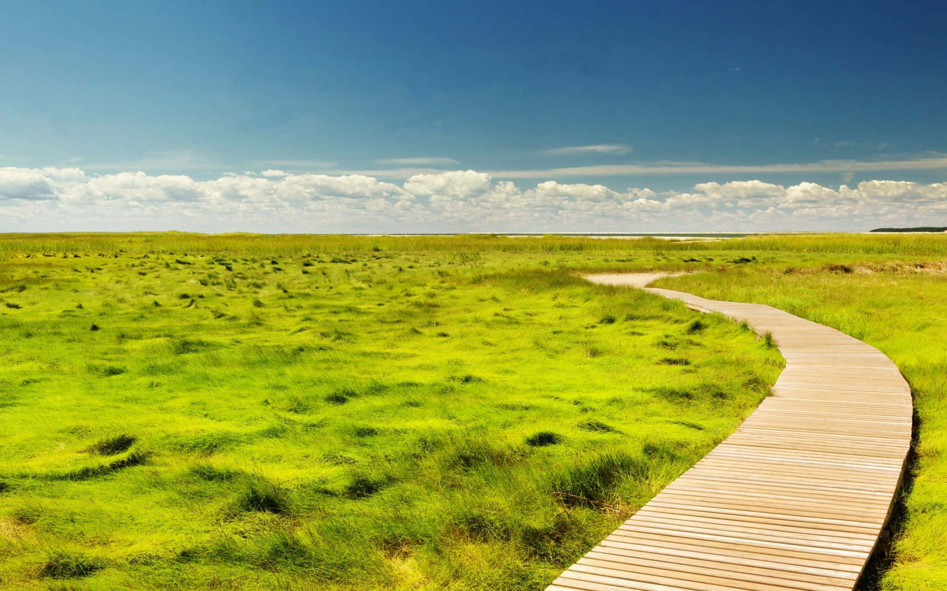 summer landscape, winding wooden boardwalk, vibrant green grass, Full HD Desktop Wallpaper