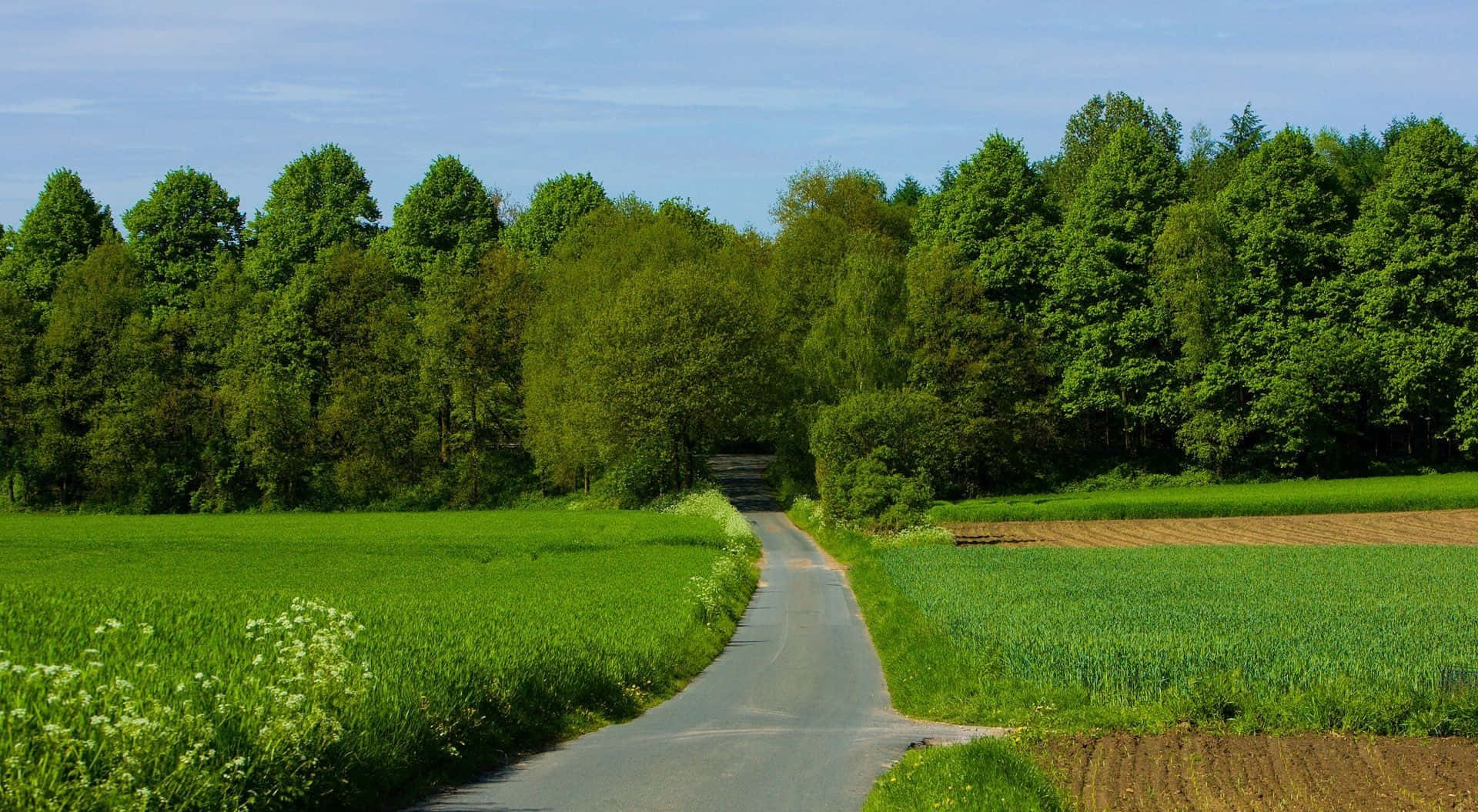 summer landscape, asphalt road, vibrant green fields, Full HD Desktop Wallpaper