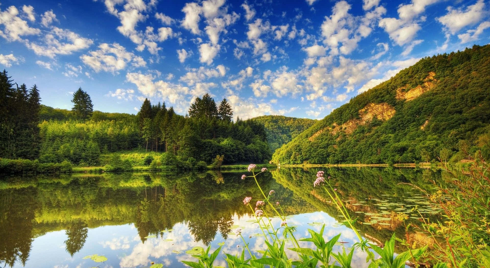 Summer Landscape, blue sky, green fields, Full HD Desktop Wallpaper