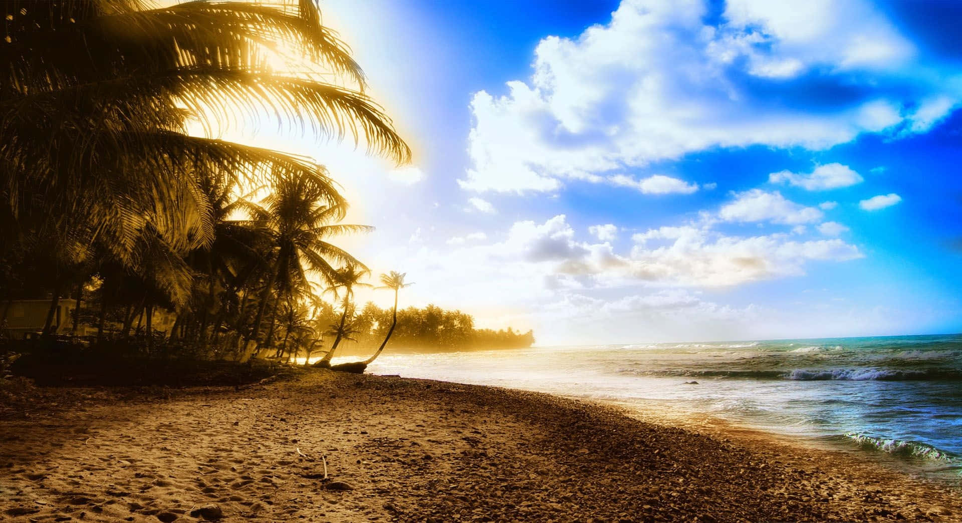 Golden sunset, palm trees, sandy beach, Full HD Desktop Wallpaper
