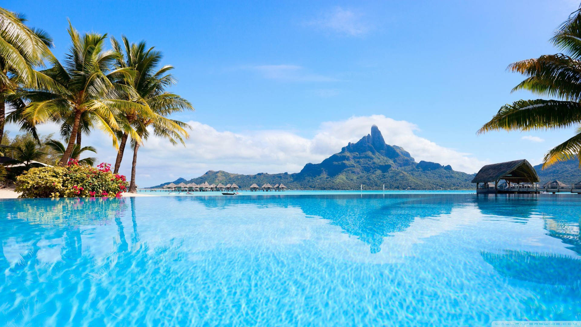 Summer Mountains Near Sea Laptop, infinity pool, turquoise ocean, Full HD Desktop Wallpaper