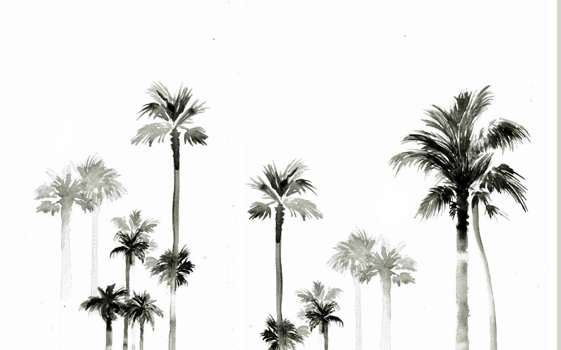 Summer Laptop, palm tree, monochrome watercolor, HD Desktop Wallpaper