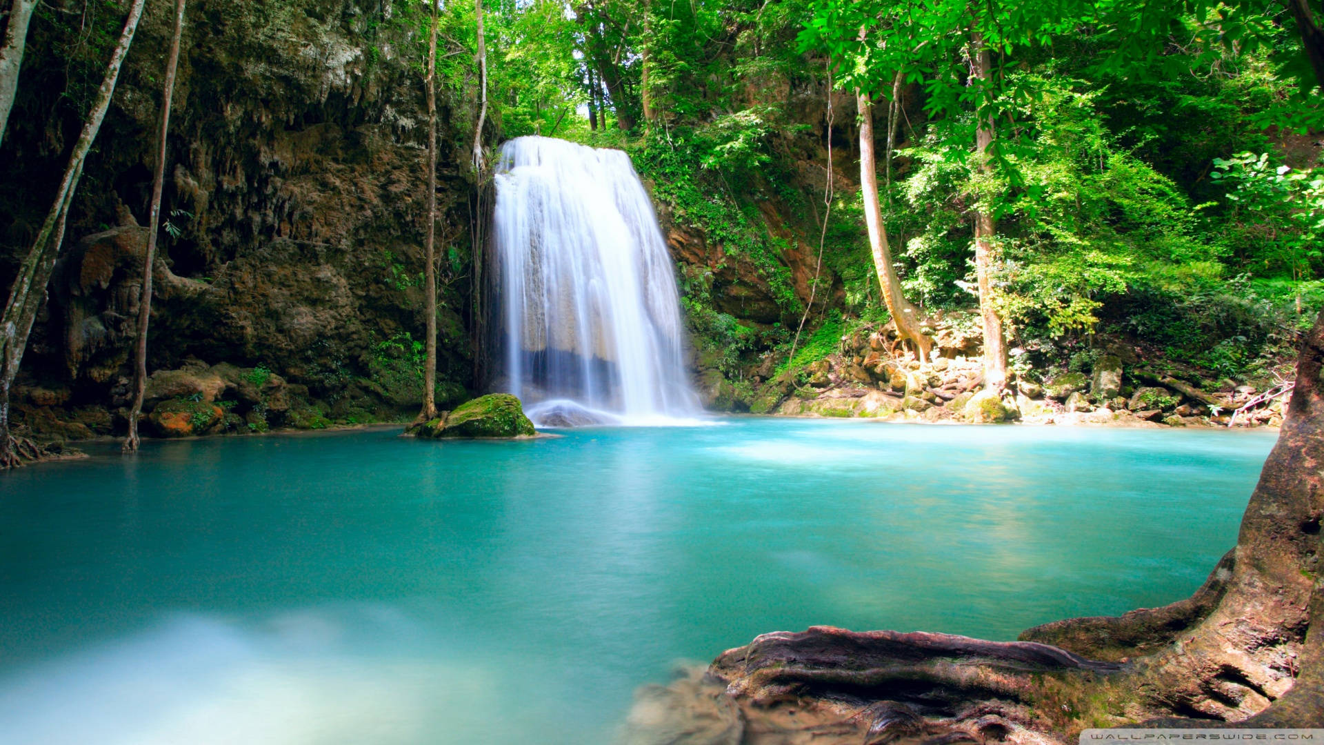 Summer Laptop, turquoise pool, lush green jungle foliage, Full HD Desktop Wallpaper