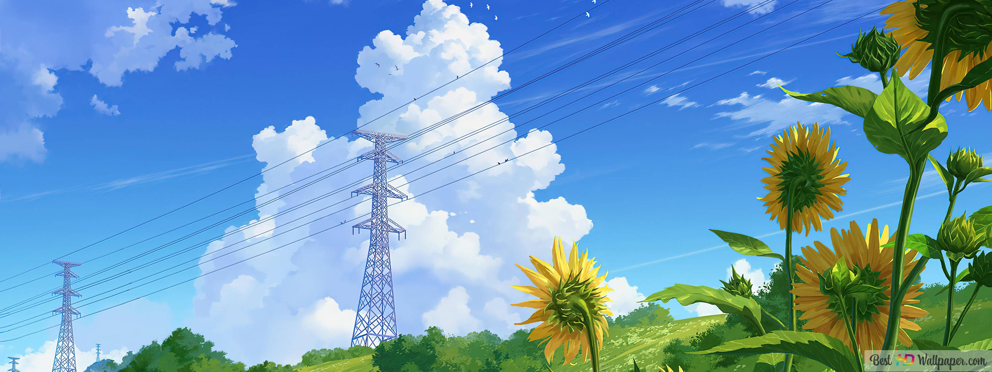 Summer Sunflowers Art Laptop, sunflowers, sunny field, 2K Desktop Wallpaper