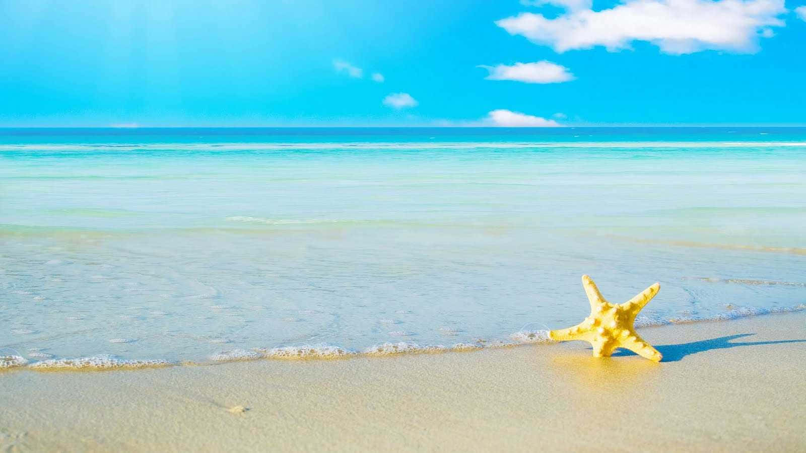 blue and yellow, summer aesthetic, yellow starfish, HD Desktop Wallpaper