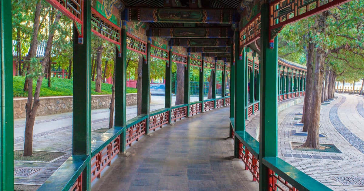 Summer Palace, curve pathway, green pillars, SD Desktop Wallpaper