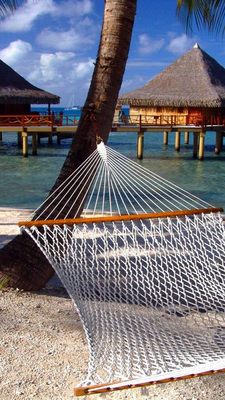 white rope hammock, palm tree, tropical beach, HD Phone Wallpaper