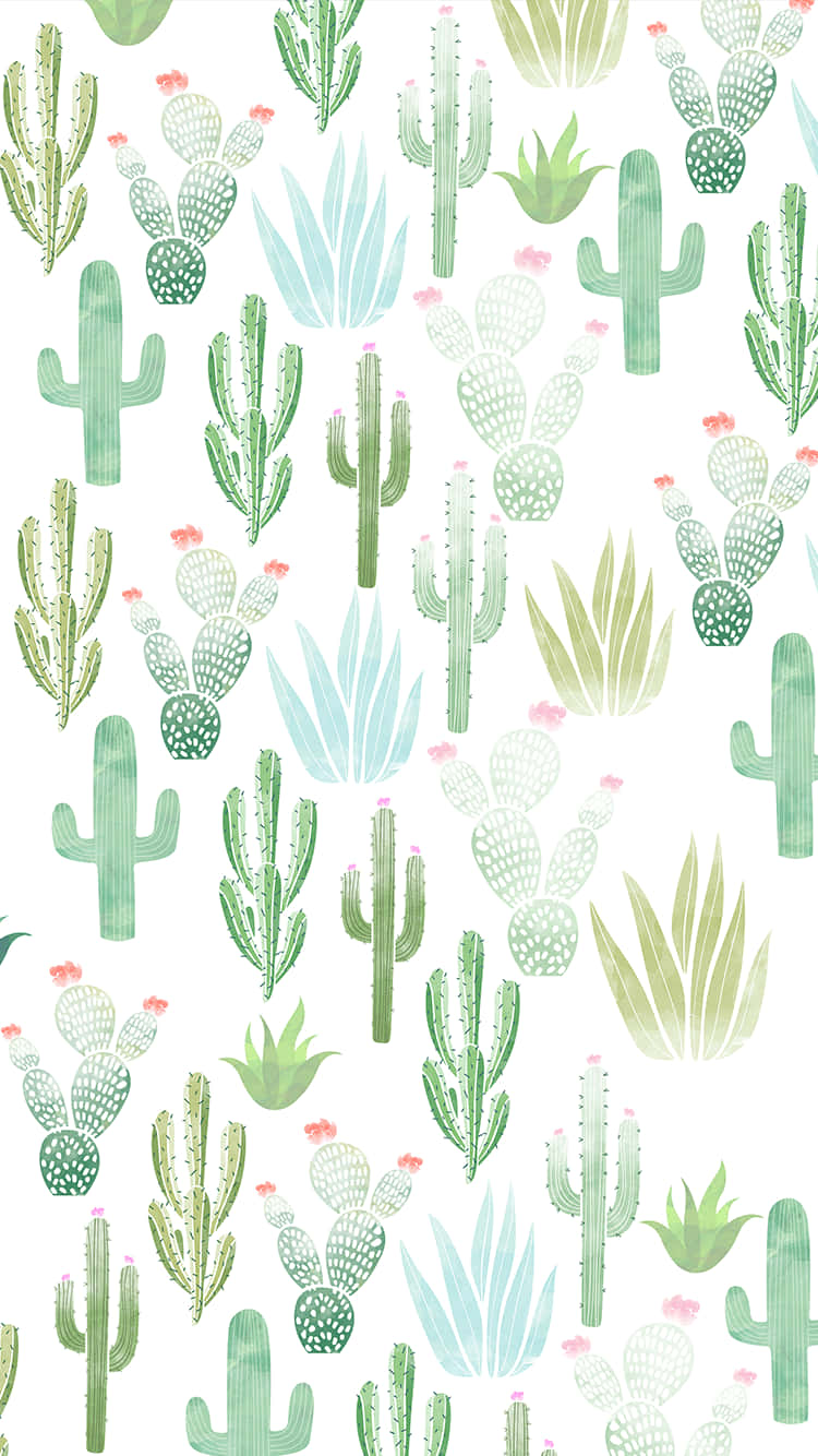 cute summer phone, green cacti, succulents, HD Phone Wallpaper