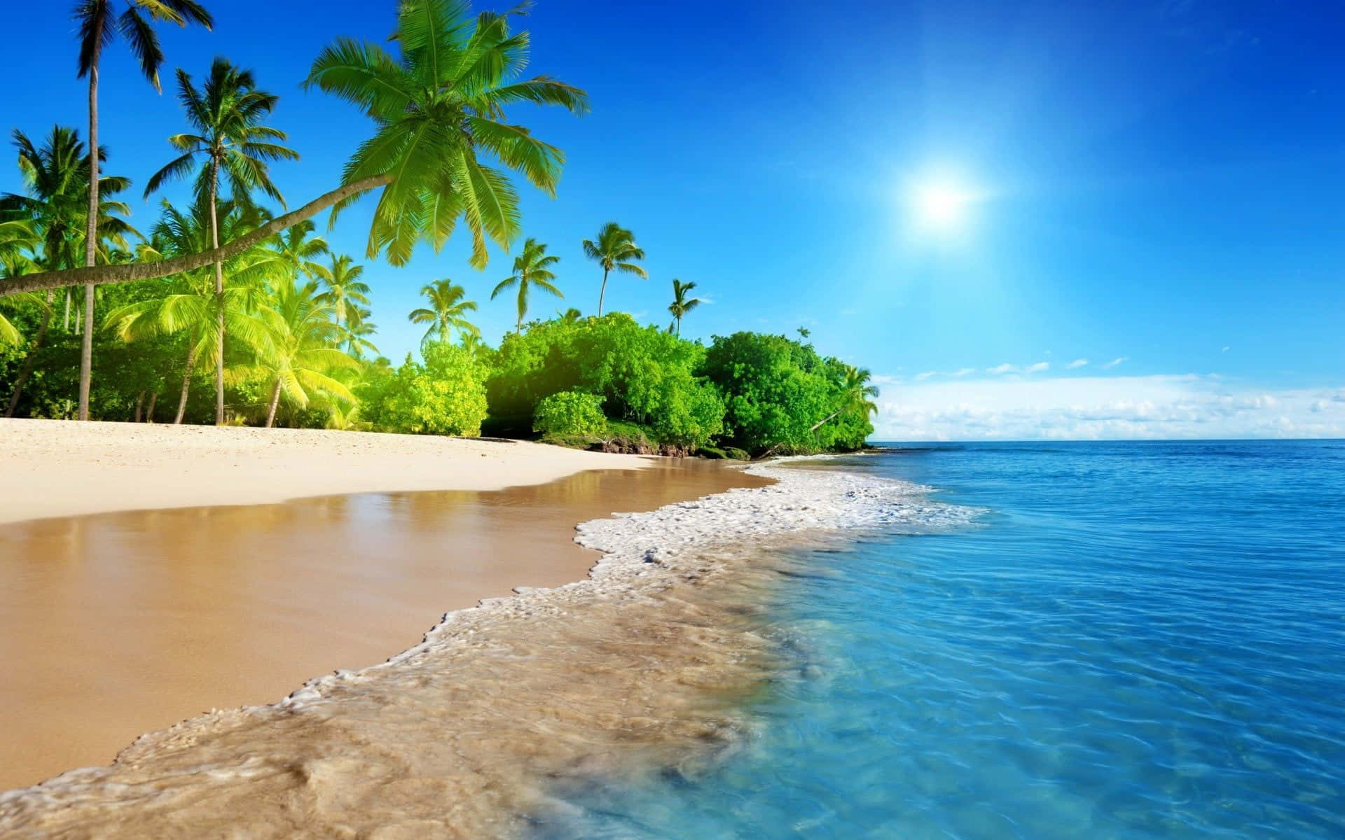 palm tree beach, tropical beach, turquoise waters, Full HD Desktop Wallpaper