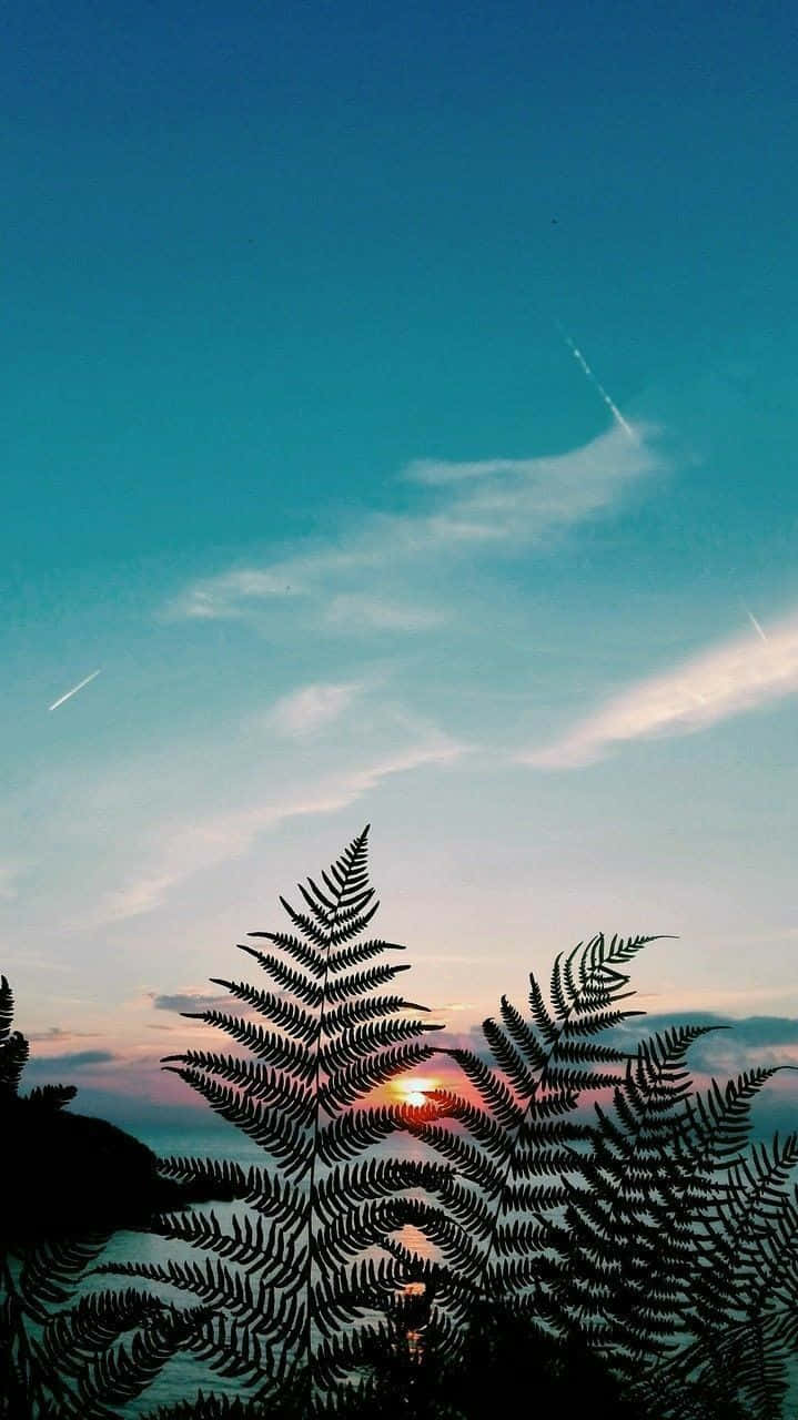 sunset, water, teal sky, HD Phone Wallpaper