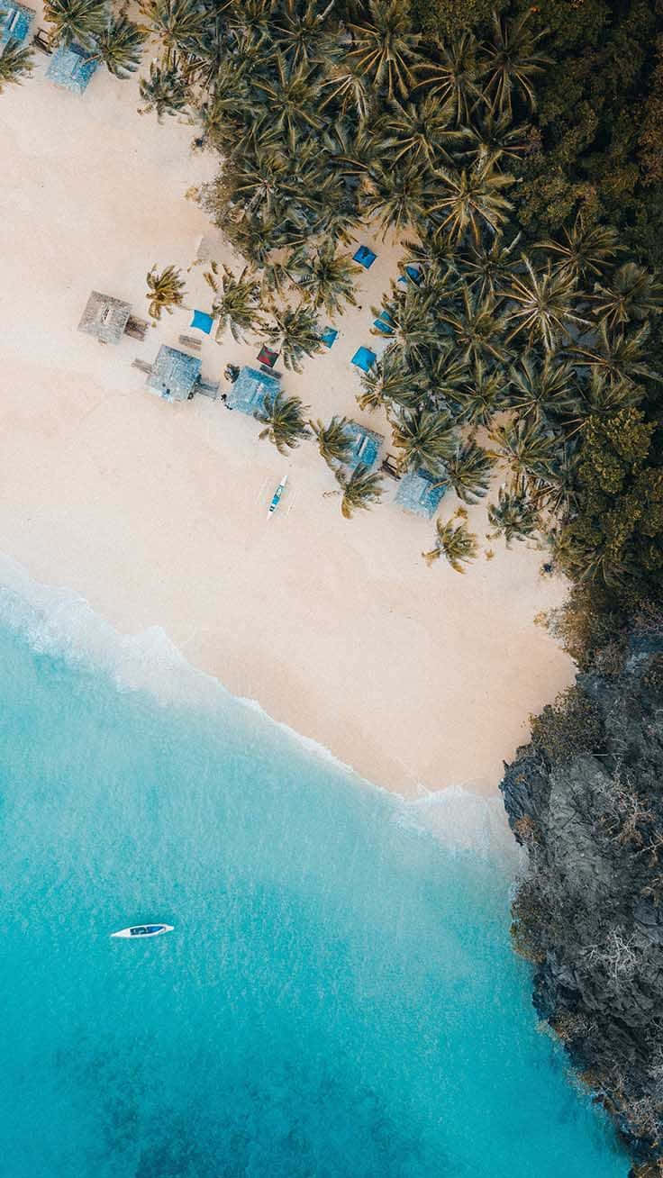 tropical beach, turquoise waters, palm trees, HD Phone Wallpaper